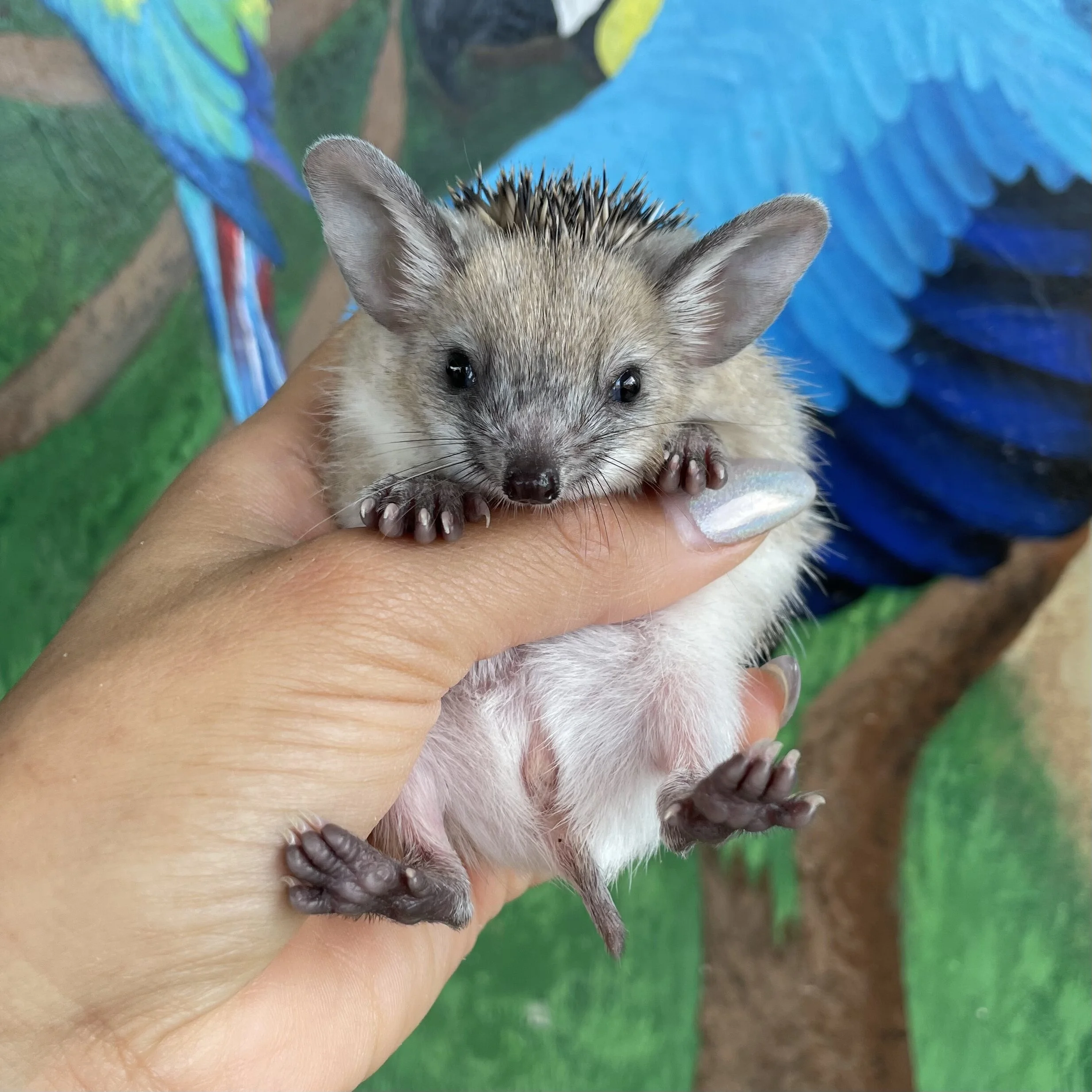 3F10C3D5-780A-4110-8963-C7755F219F8B