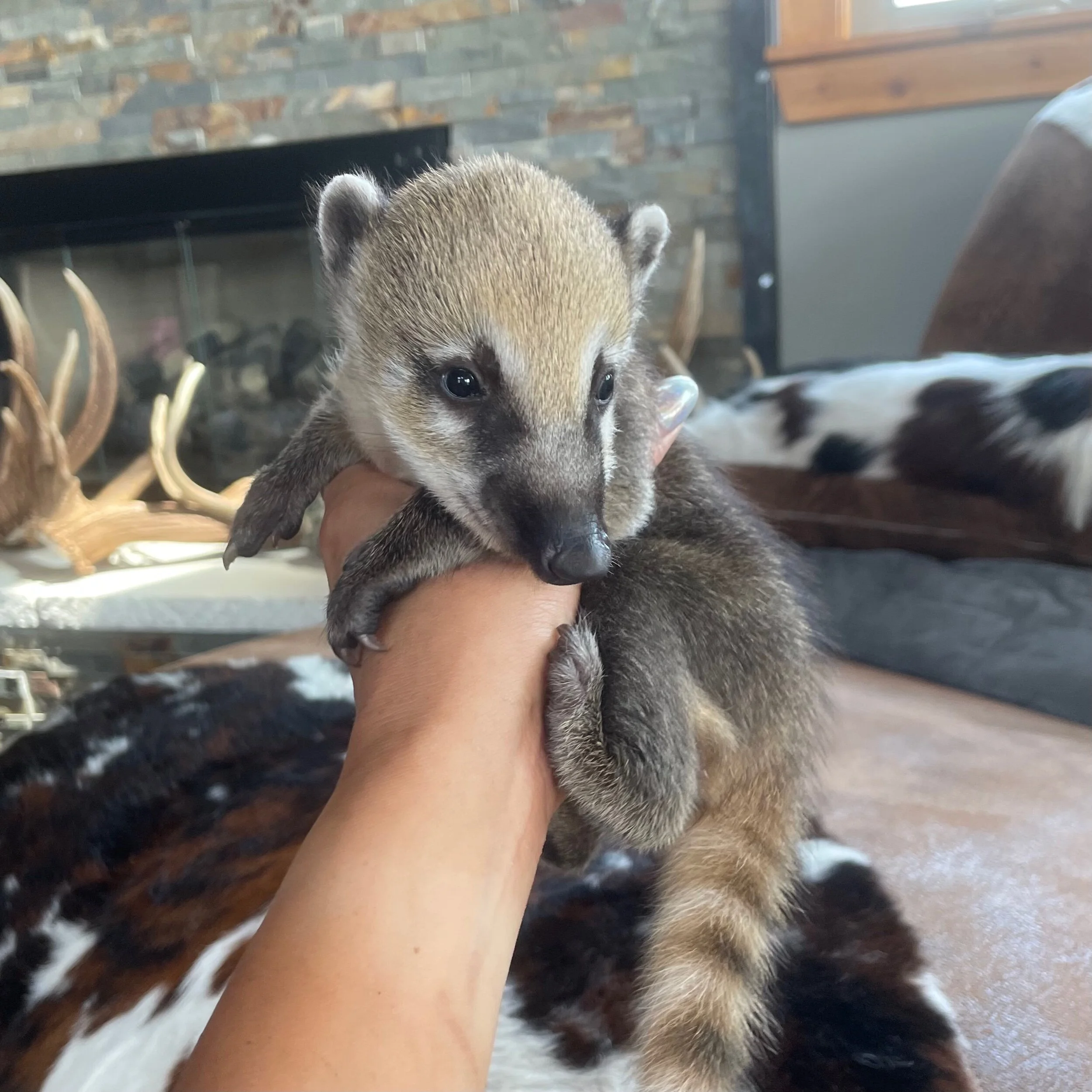 C4833D3D-CE42-4B68-BA98-A950D4B966E4