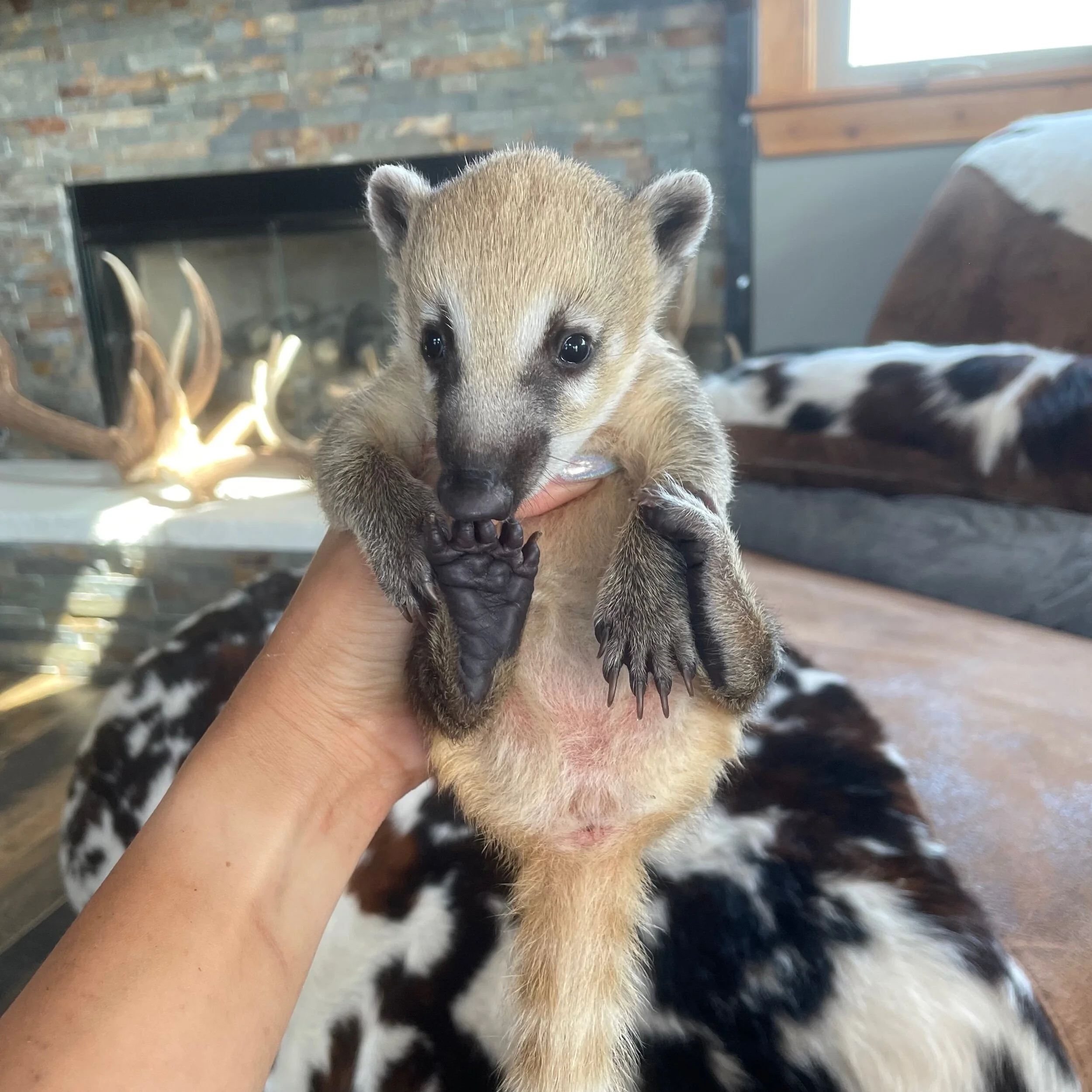 31201C78-F28B-40DB-AEC0-60724447752D