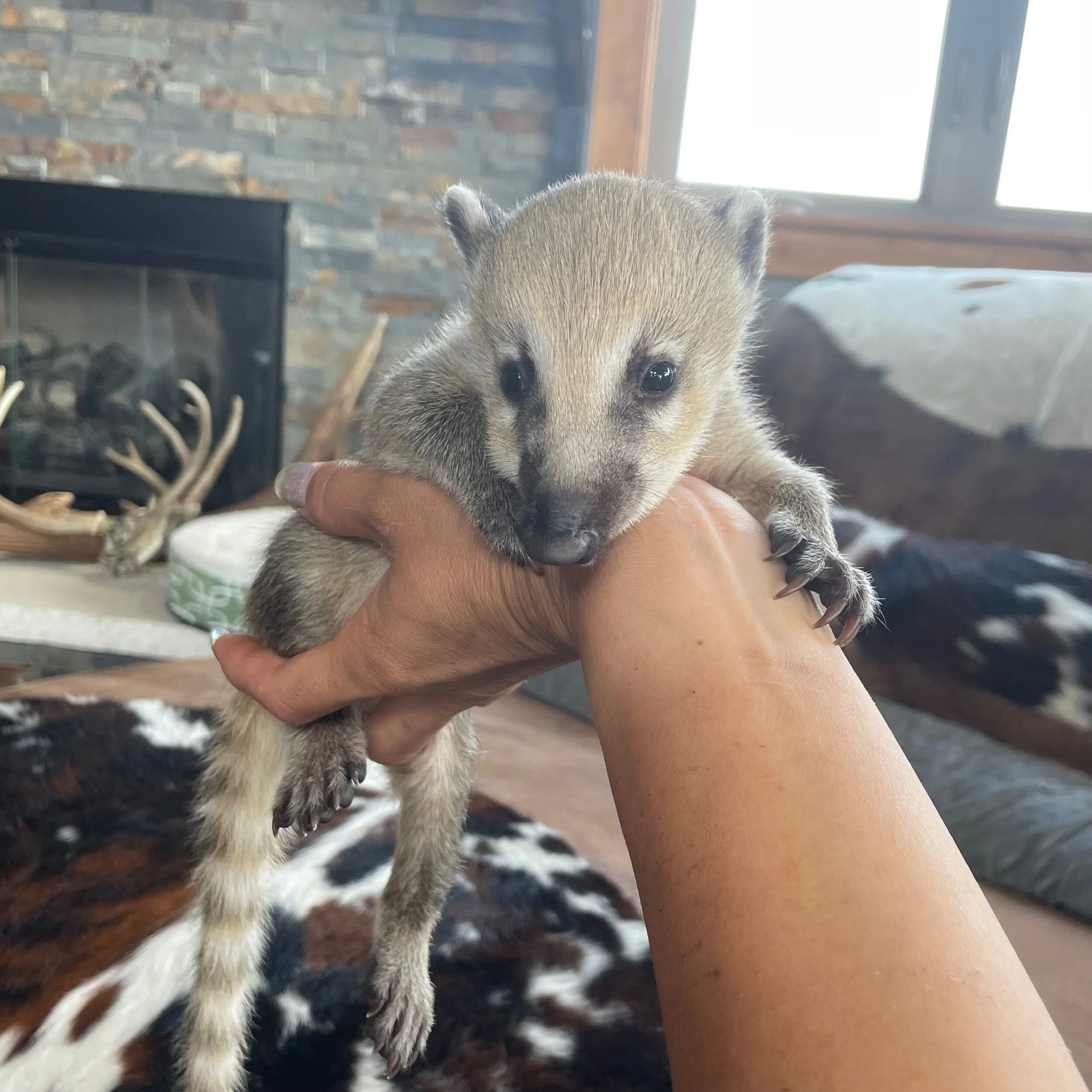 ABB9CB05-54CF-45BF-8620-BA0968403E62