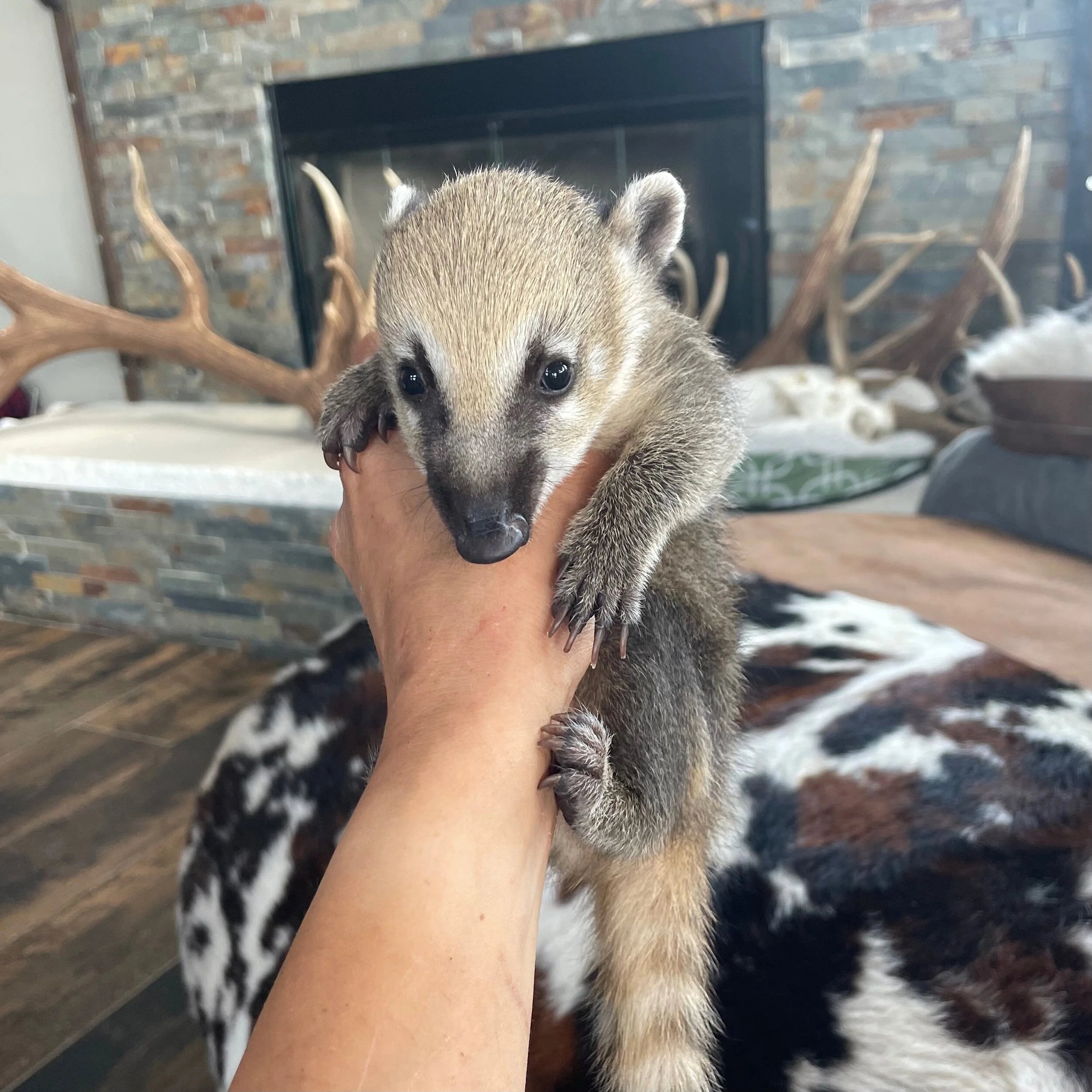 C883BCE1-5FBF-435F-80E8-B641C8401724