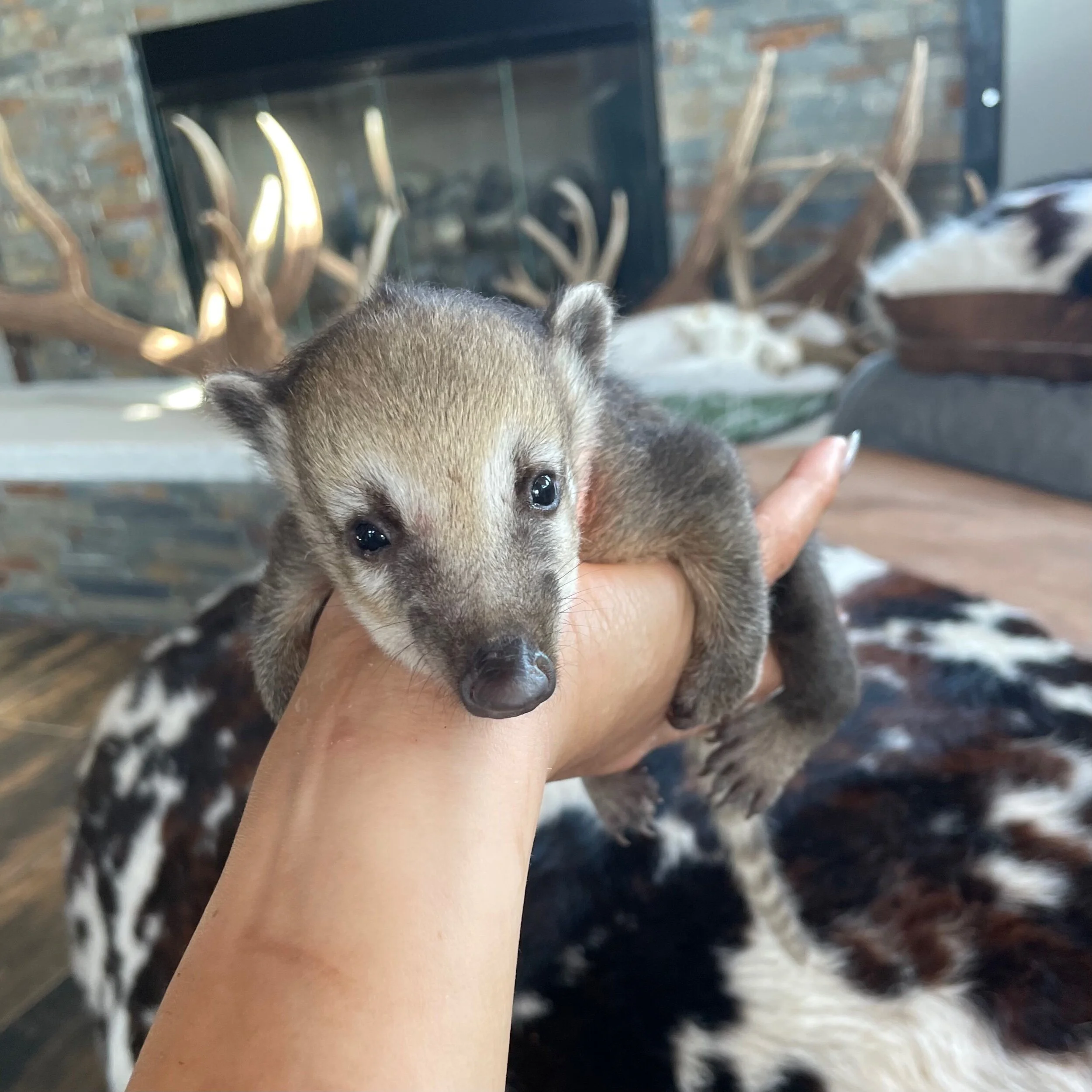 5A62D0EA-2B85-4C0E-8339-55E030C7AA11