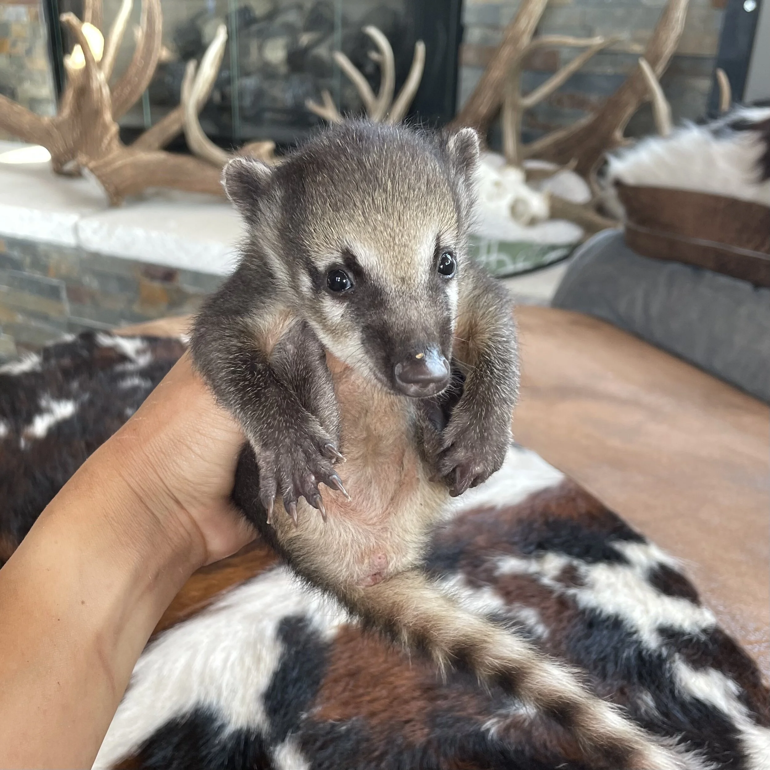 F094CEDC-B172-442E-9E6C-A36F4F6D34EE