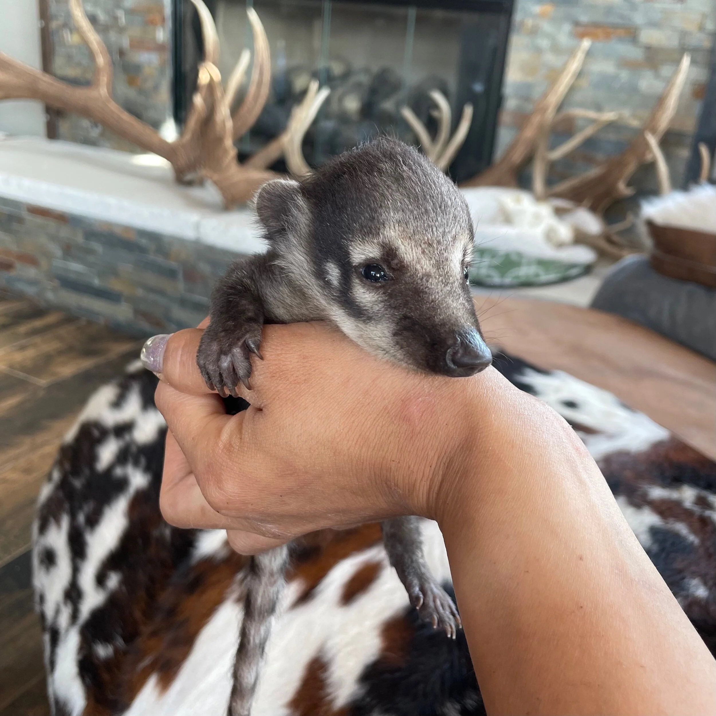 817C5ADB-46E2-4252-AC2C-0A906B7DC74D