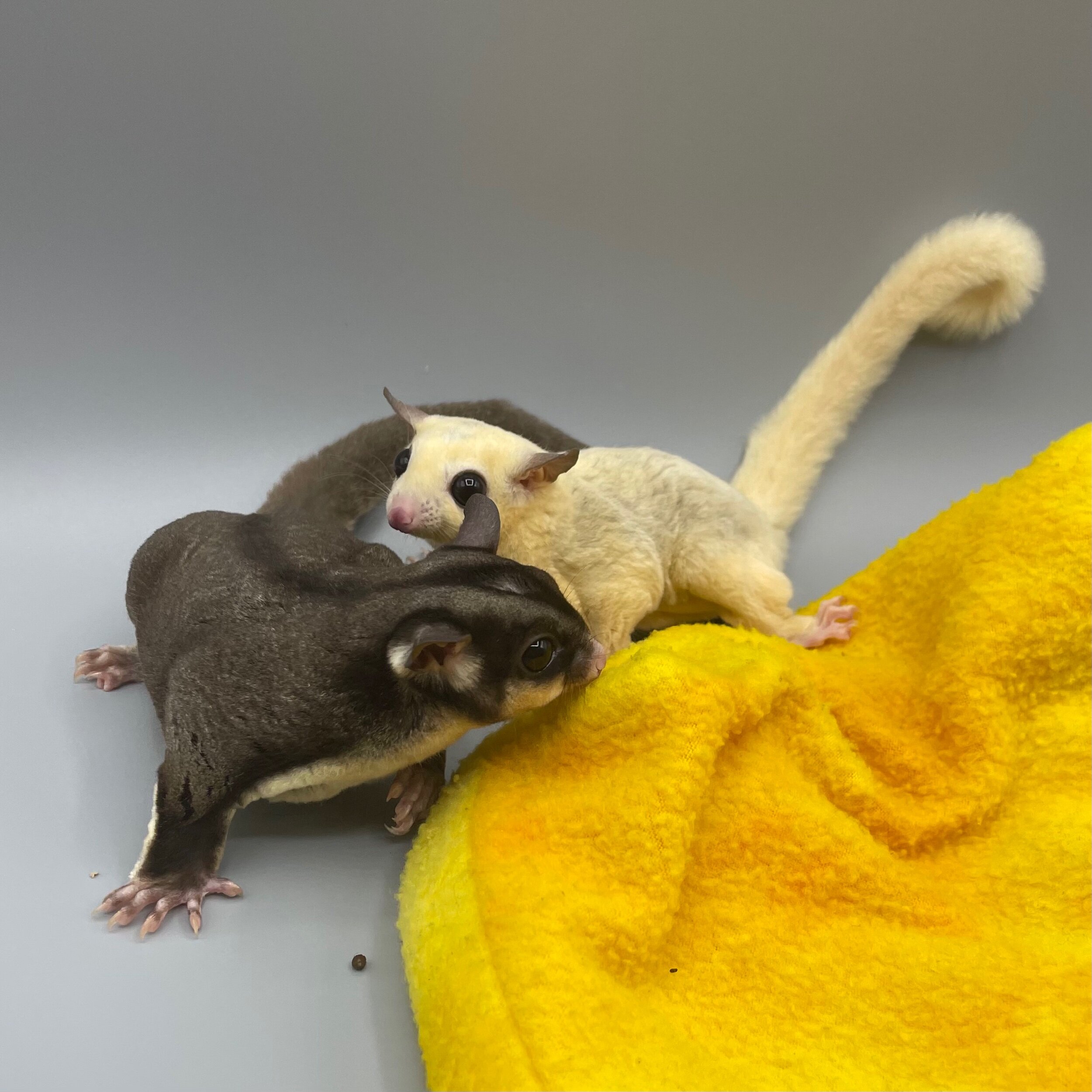 CF389D94-A6CA-4E3E-A411-FFD7865AF6A1