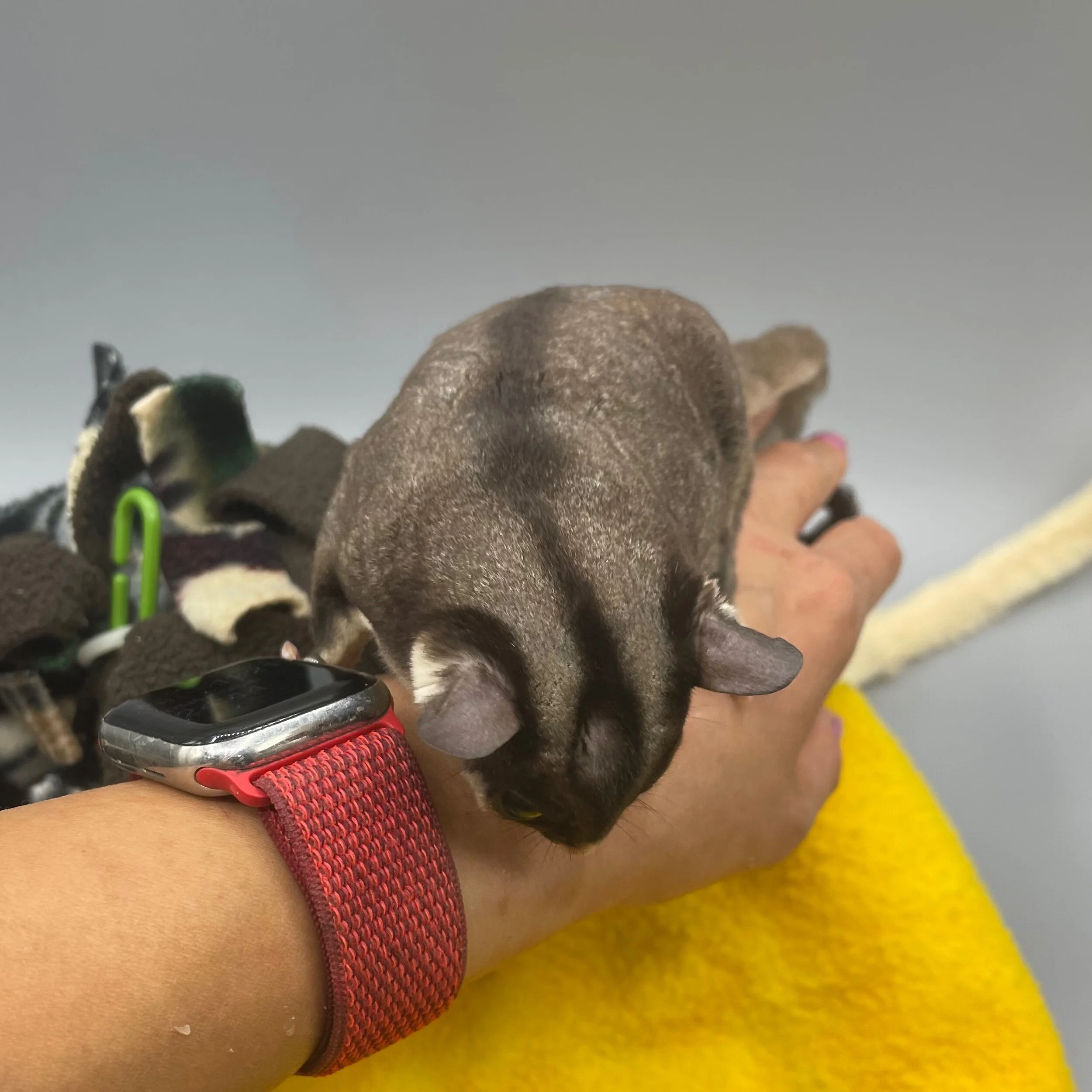 94BC81CD-826A-4AFA-81D2-E9CF6DF3BA04