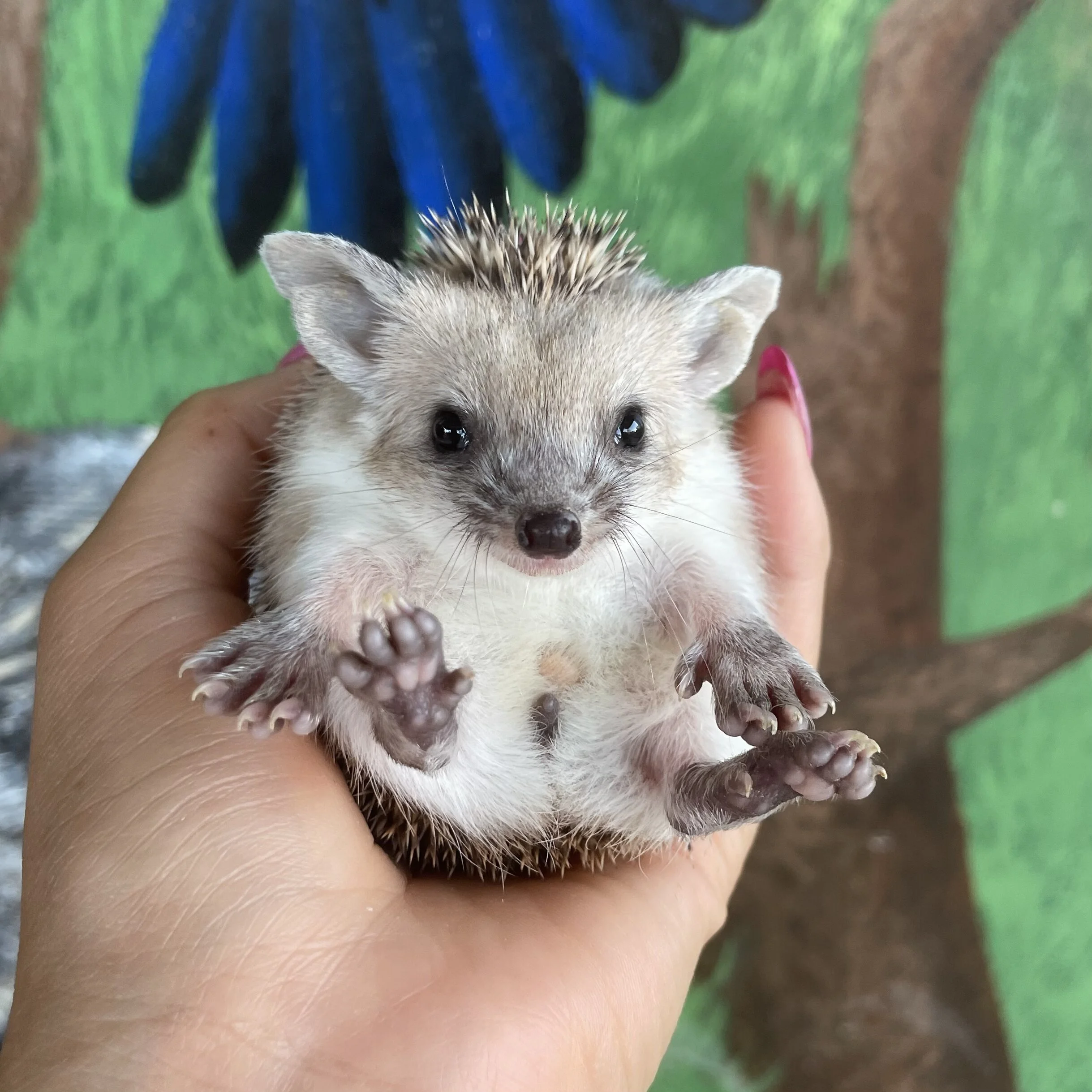 BB581E20-C5E9-4CE9-B34F-0E72107FFDFD