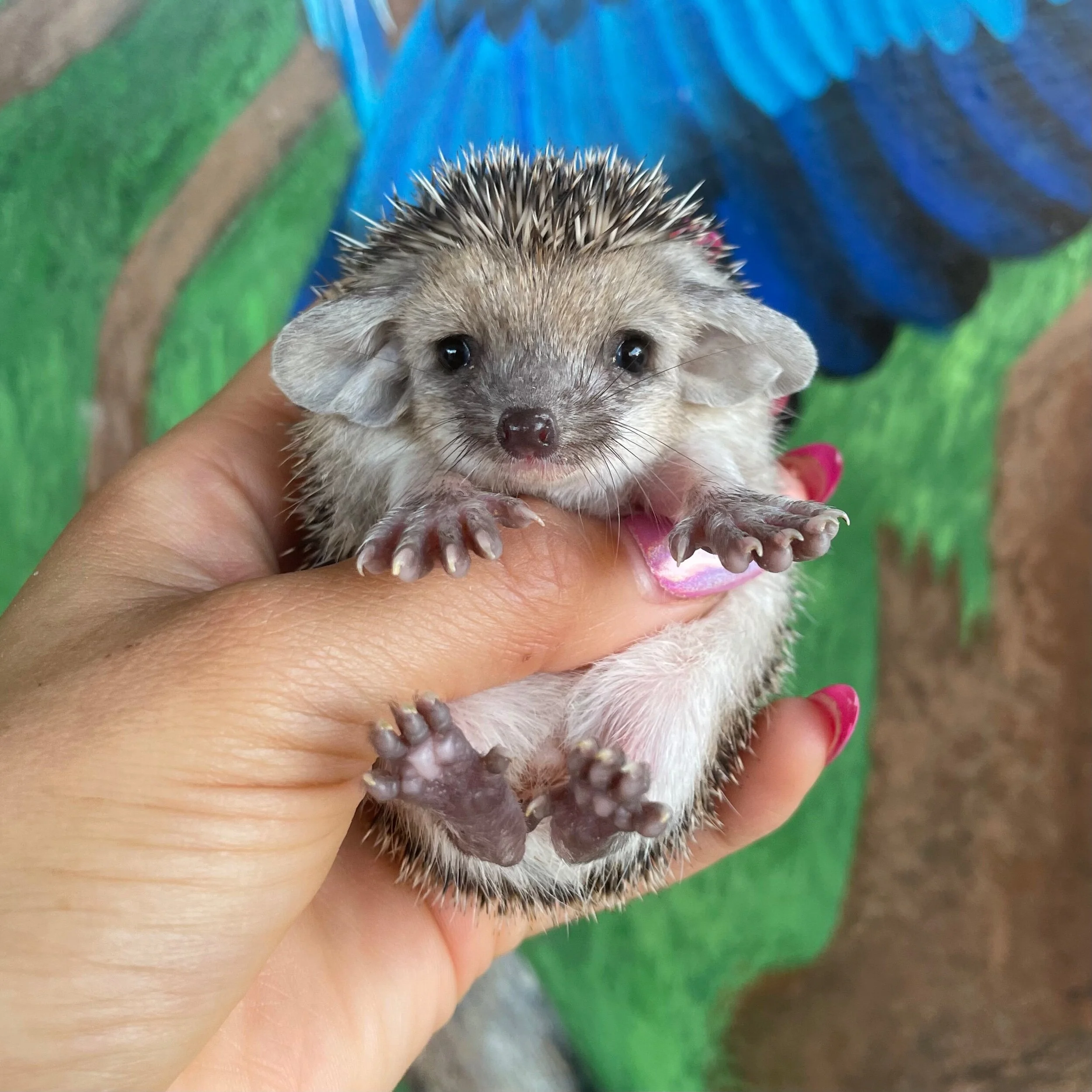 AA997C98-987C-4B34-99C4-D146B5F0C0C9