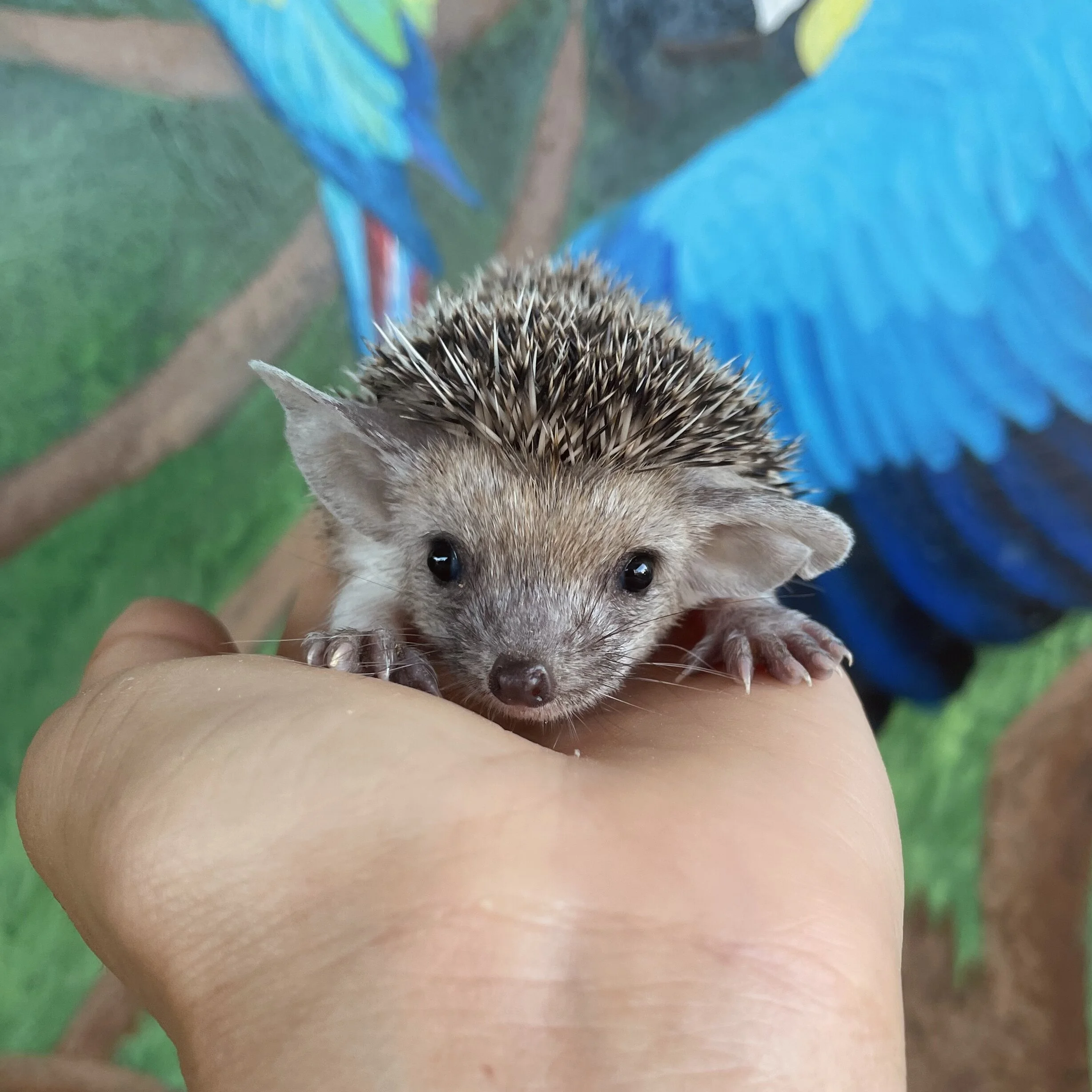 B6131850-6DBA-48AC-9A6A-52FDAAAC6819