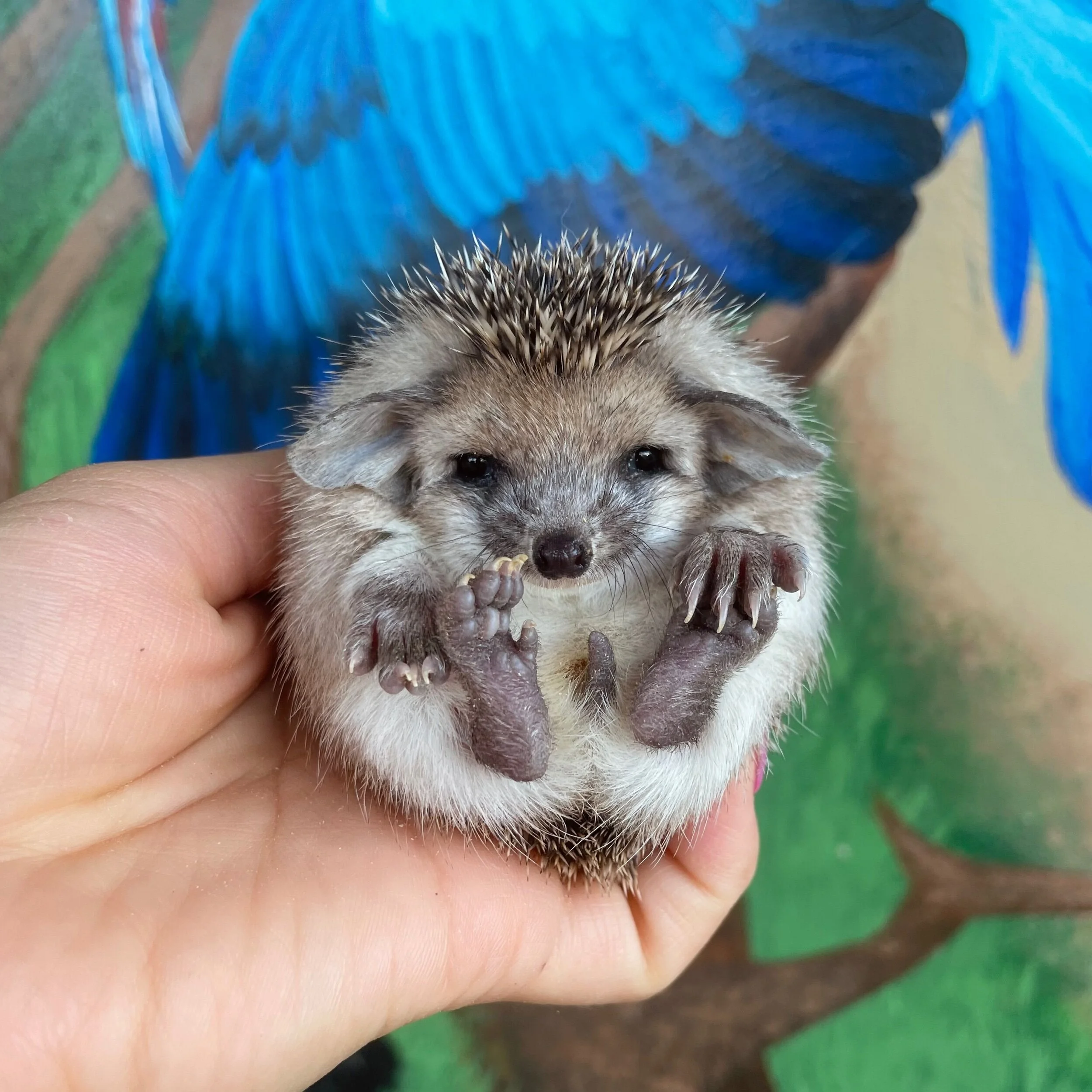 617B03D1-7F4D-439E-82AC-ADB19644262F