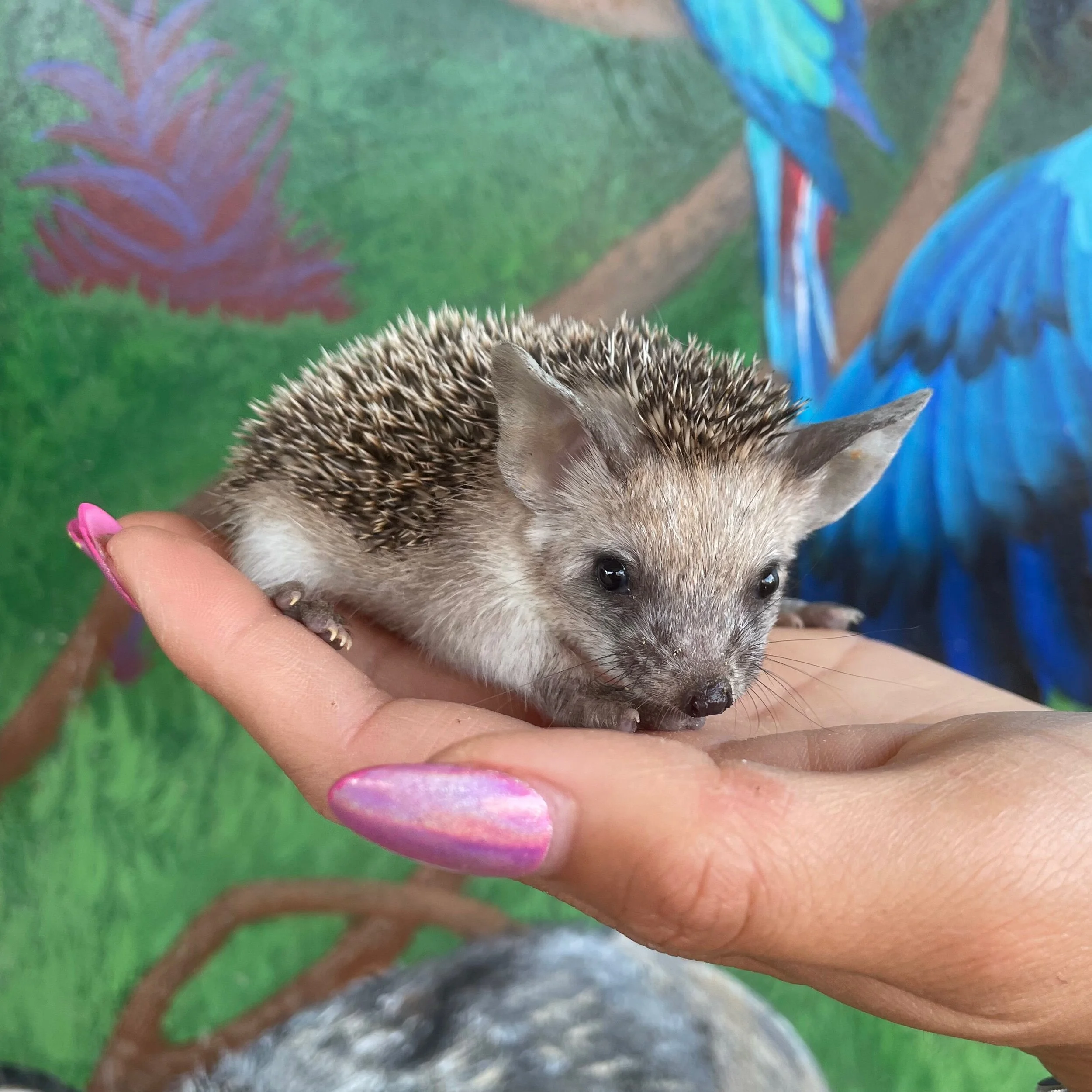 1F0B91AE-A41F-45D5-B303-2852216452FE