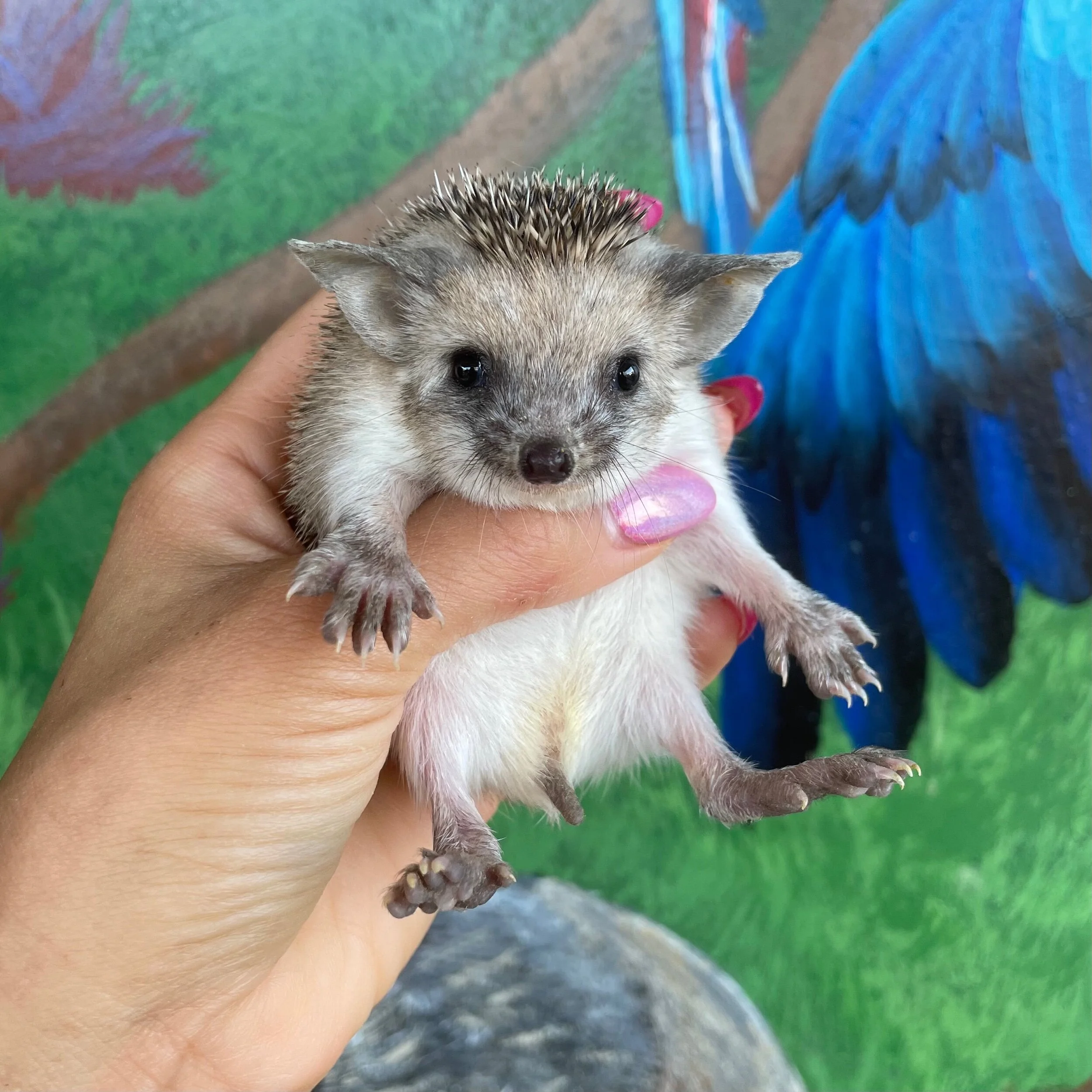 C058BA7A-8238-411C-B9CB-E2B3D921FD26