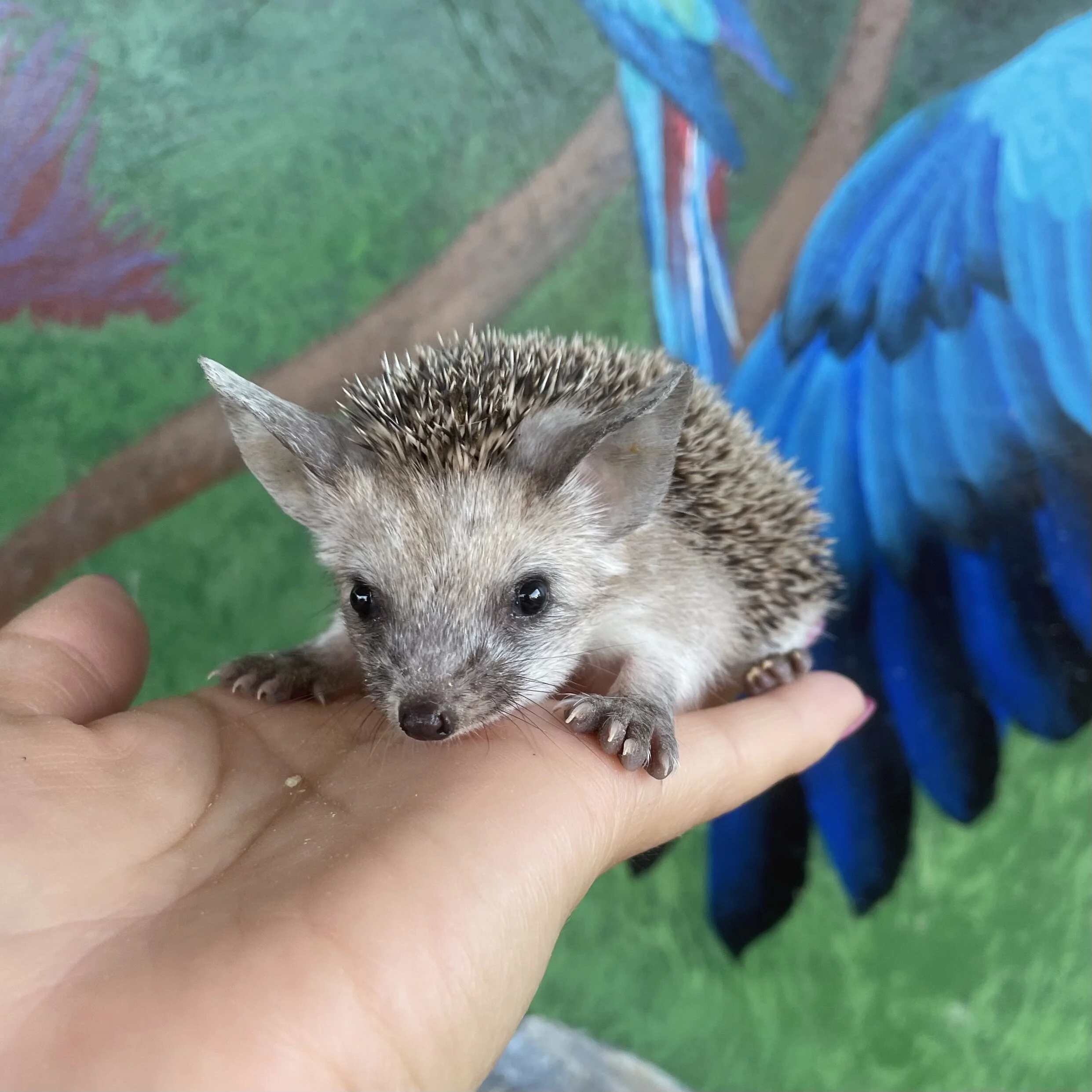 42DD5C89-2A21-40CE-9284-EB9A9C32FAB2