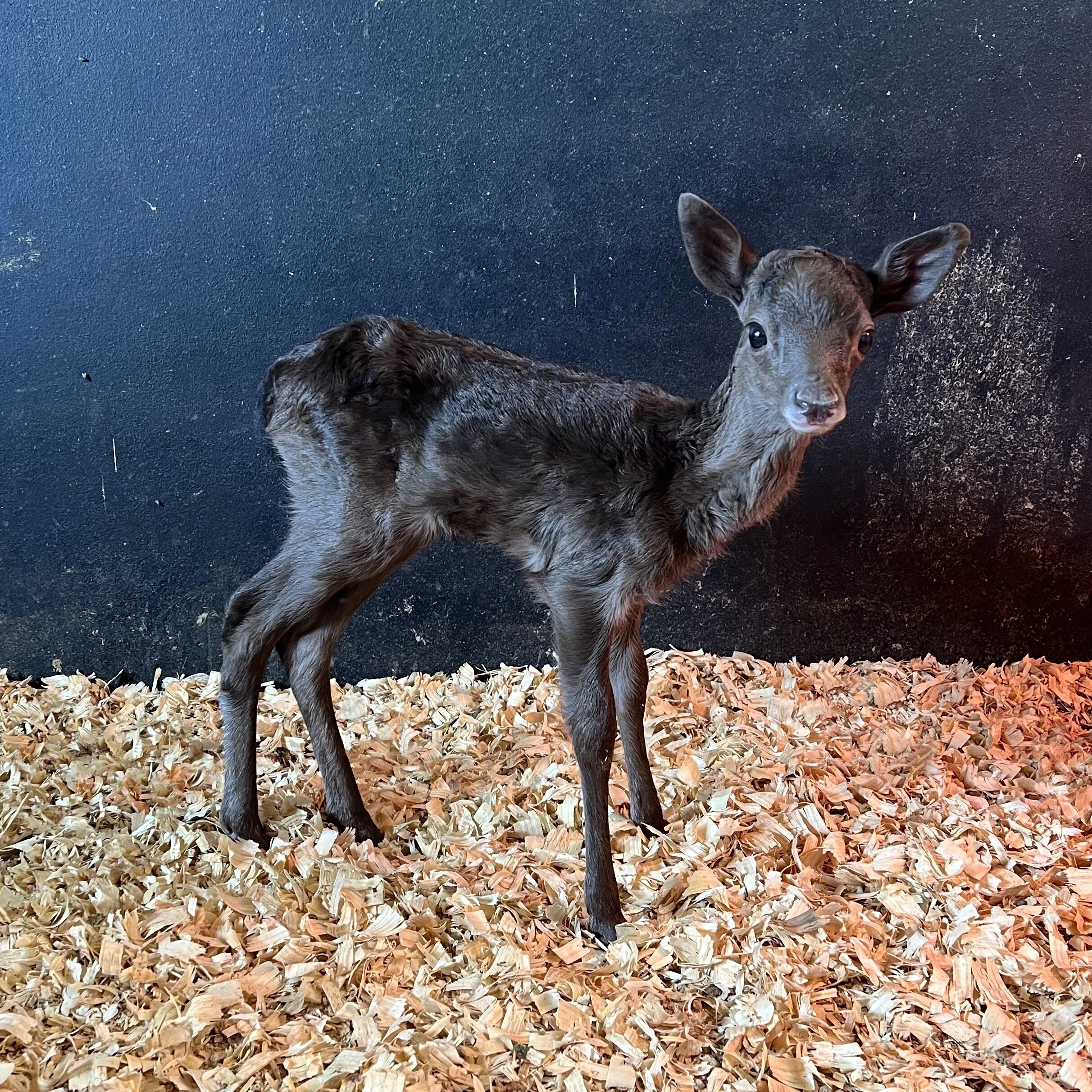 FF8B3332-6BC1-4044-912F-7E4F9DB6E394