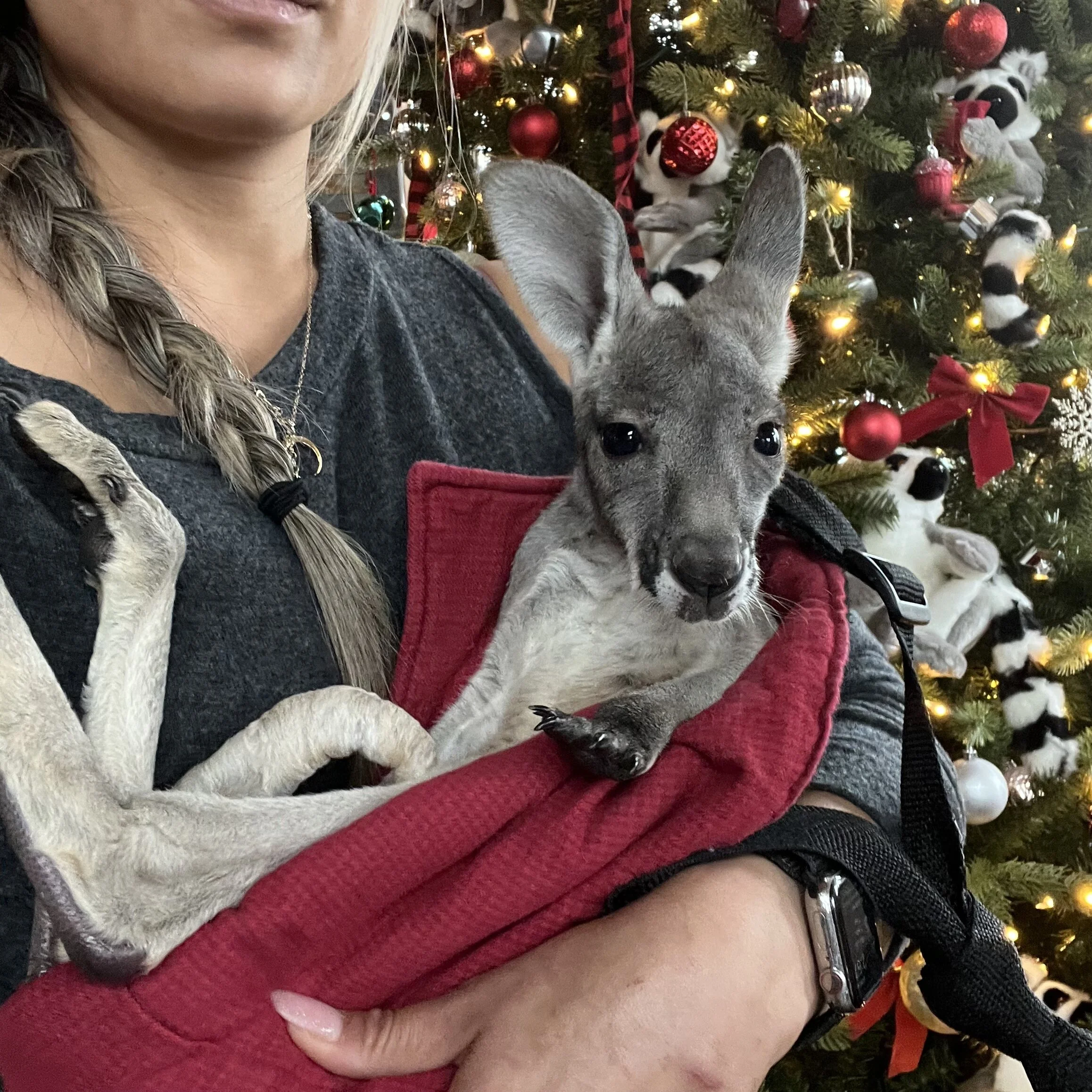 935B06A6-2D5A-4F0F-B8C9-A1D81734BD17