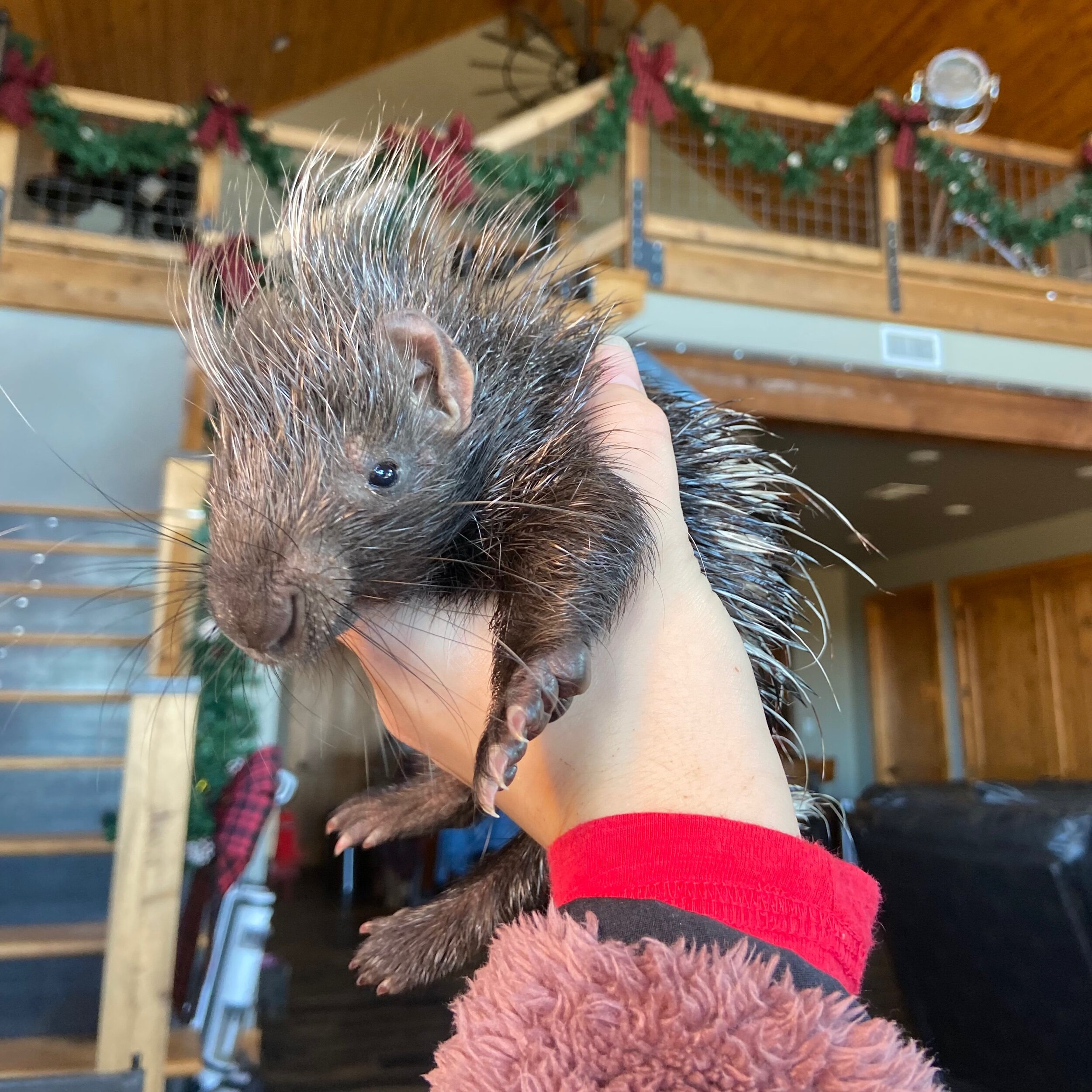 667AACAB-6895-449F-9D4A-0C31121DCF74