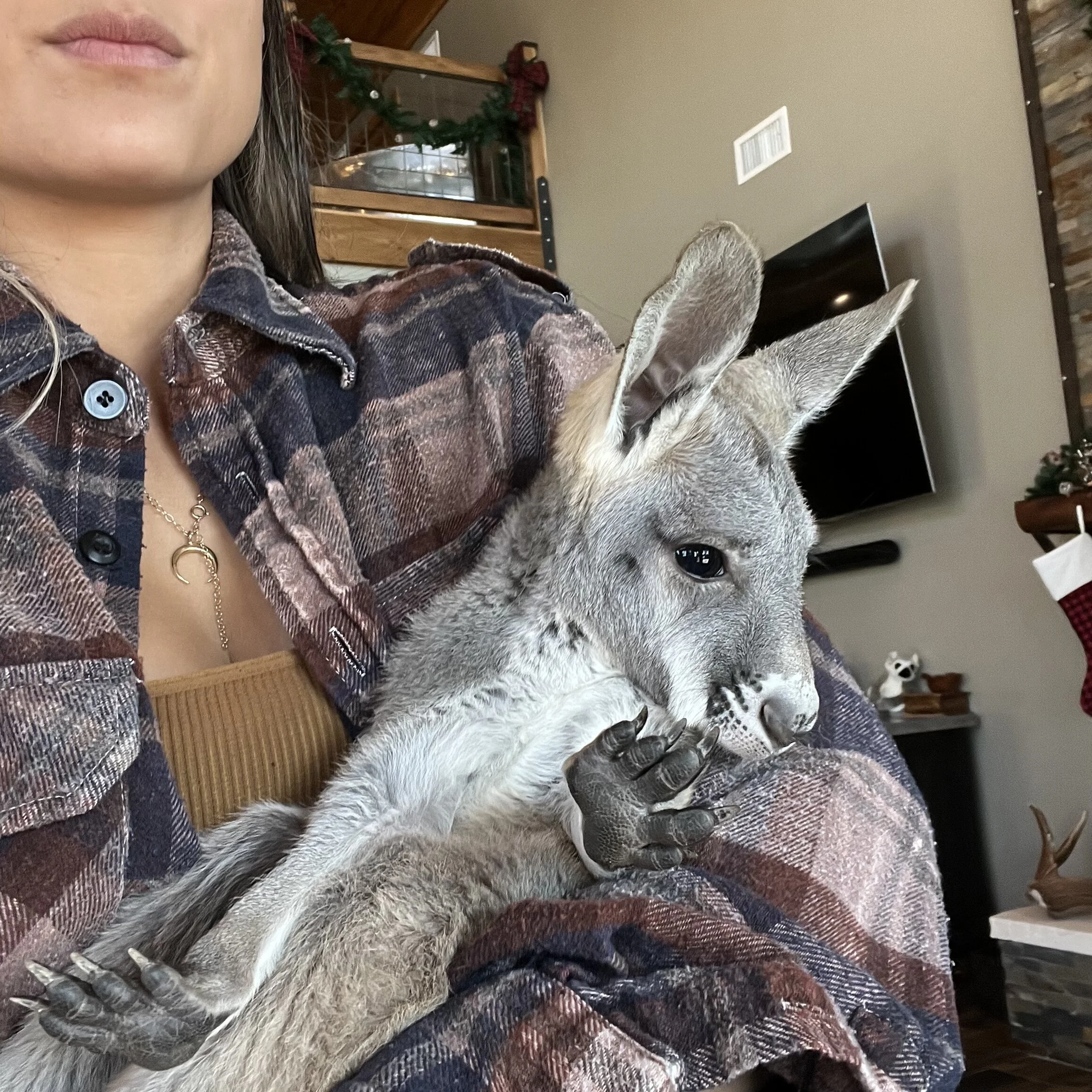 FBA66B19-25C5-4F87-8D36-82AC8F0BC100