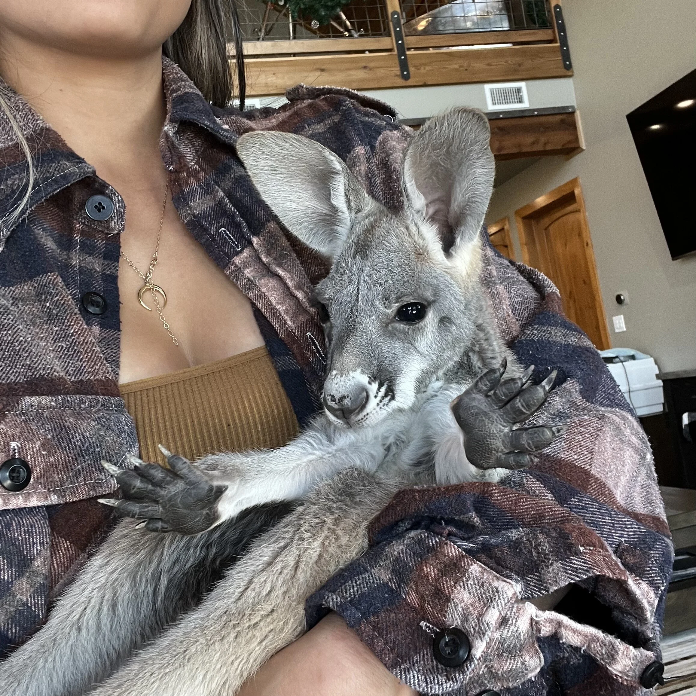 7F521FB5-D761-41C7-915B-34CFDA63652F