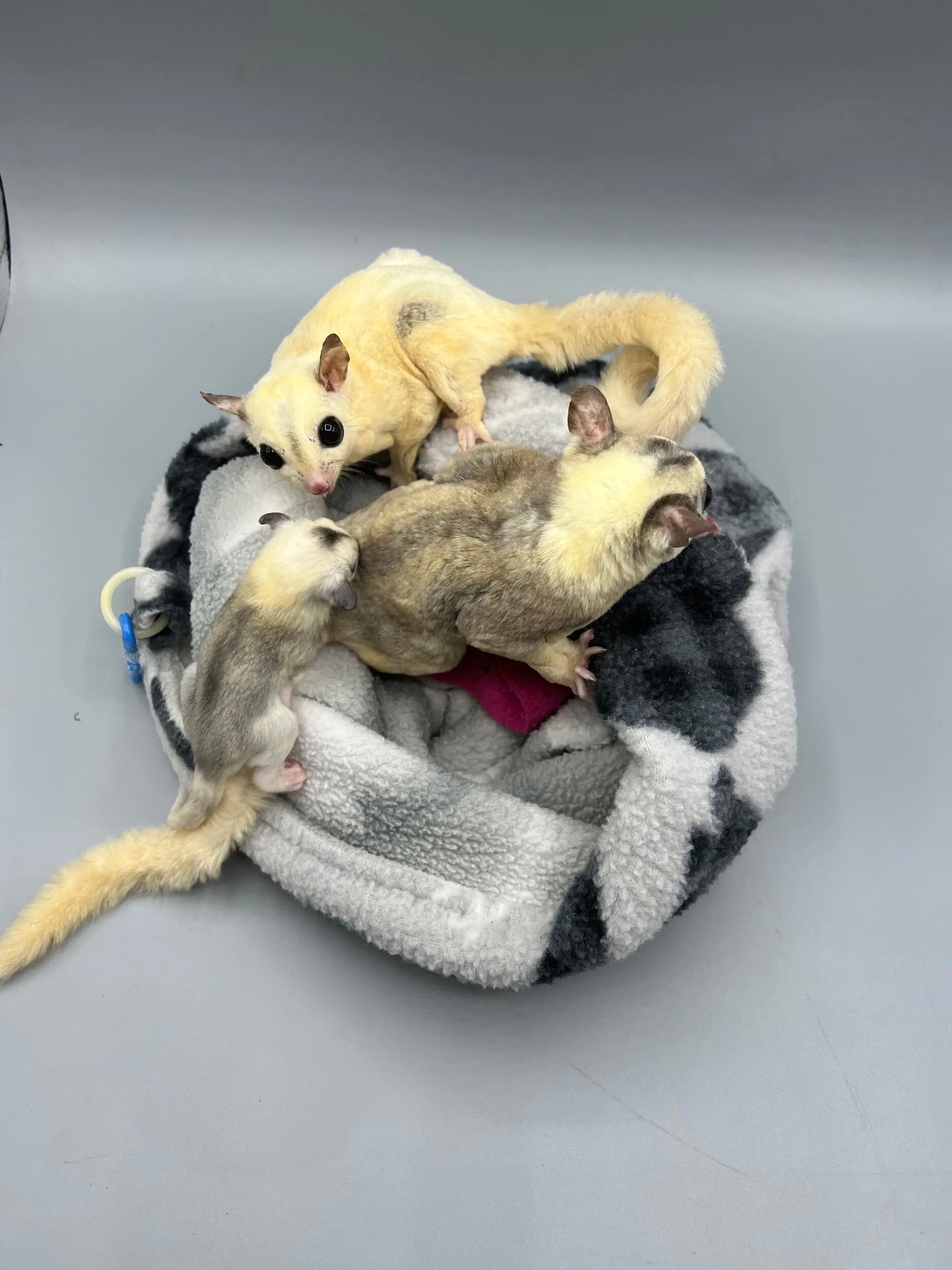 DB72242B-150E-4B21-823A-9B401DDA442E