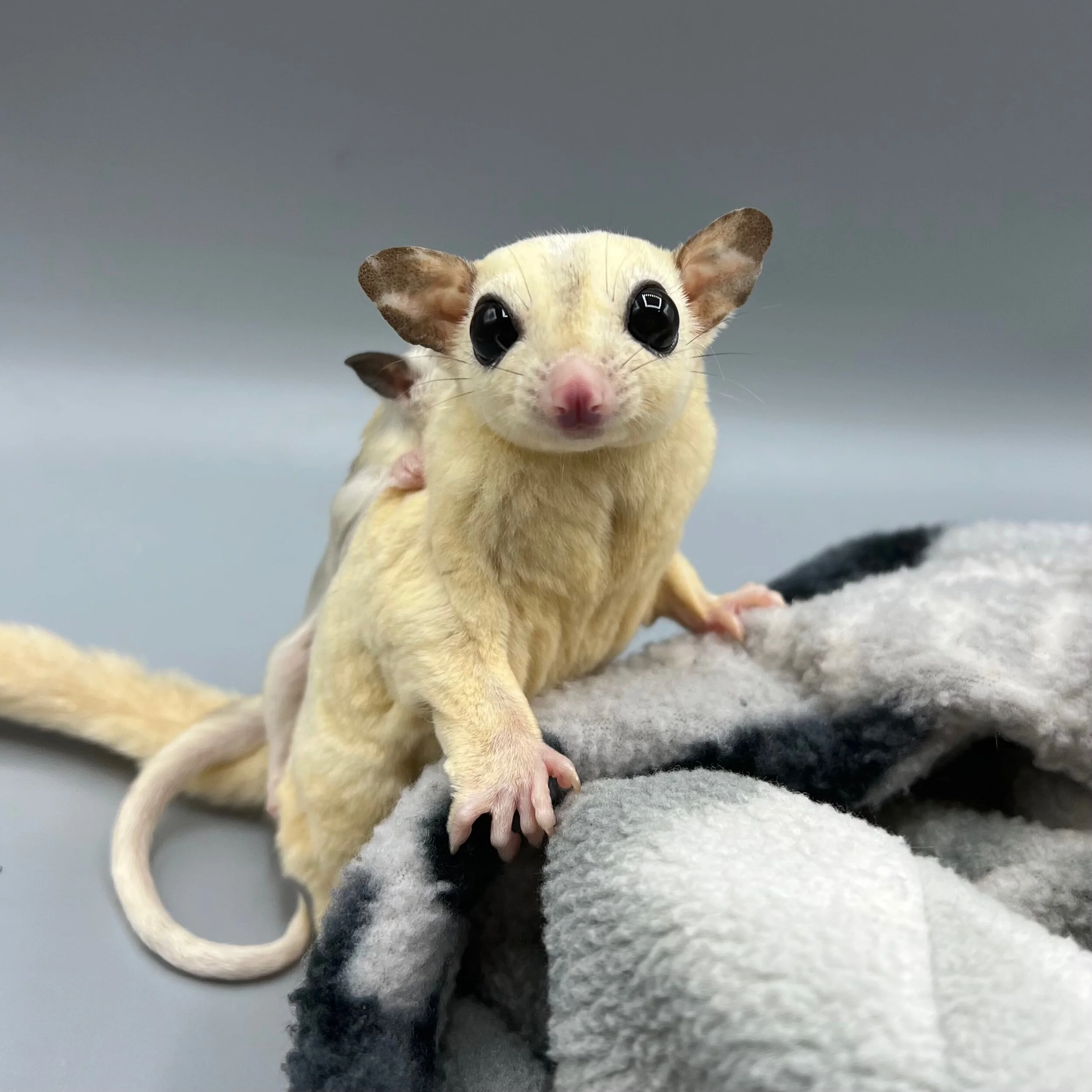 B6DBF687-9B18-4FD7-8962-3227DAE0878B