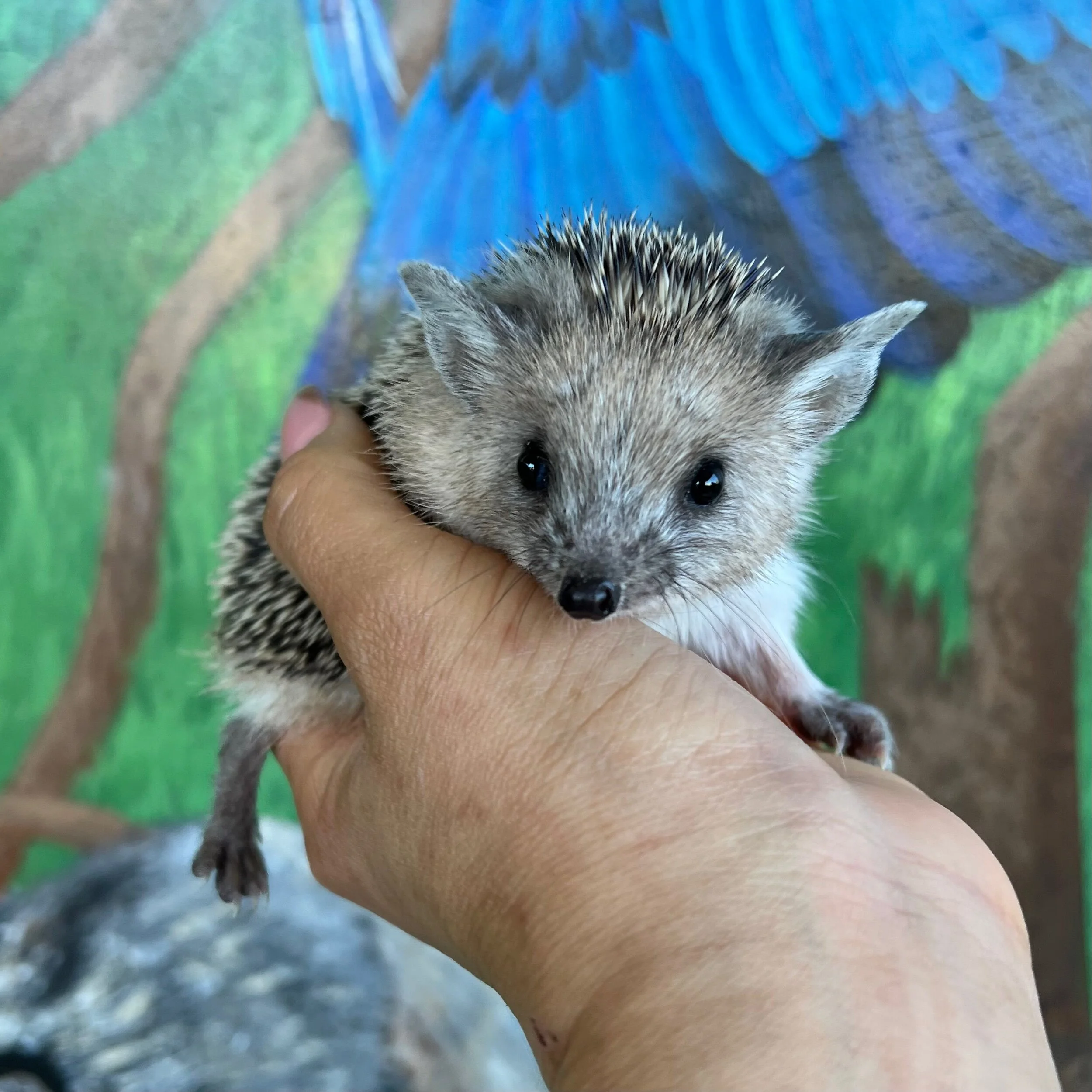 90EFC0BA-B578-433D-99A4-751FBB44E2EB