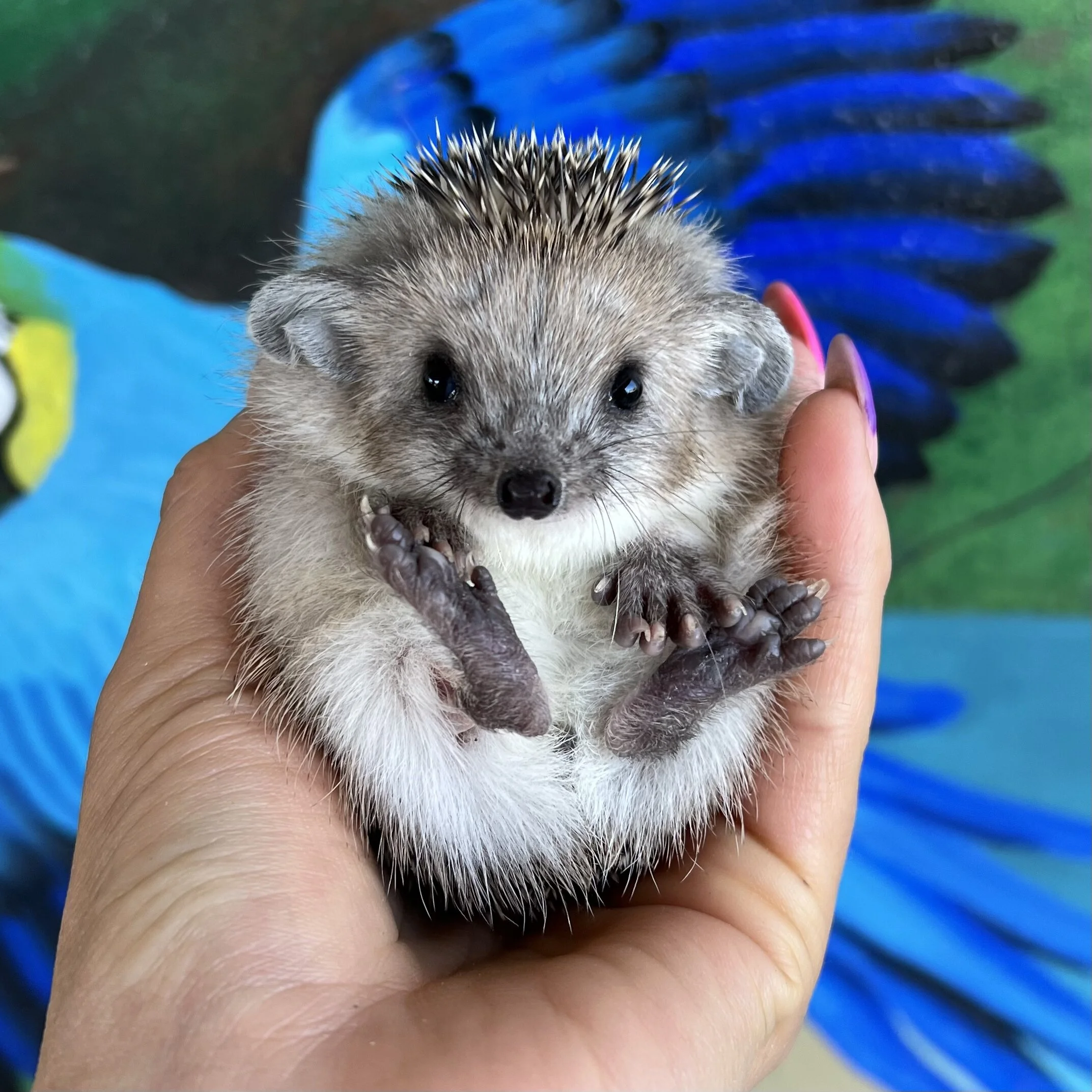 04AE7682-4B48-491C-9B90-C7CC5A4CBAA6