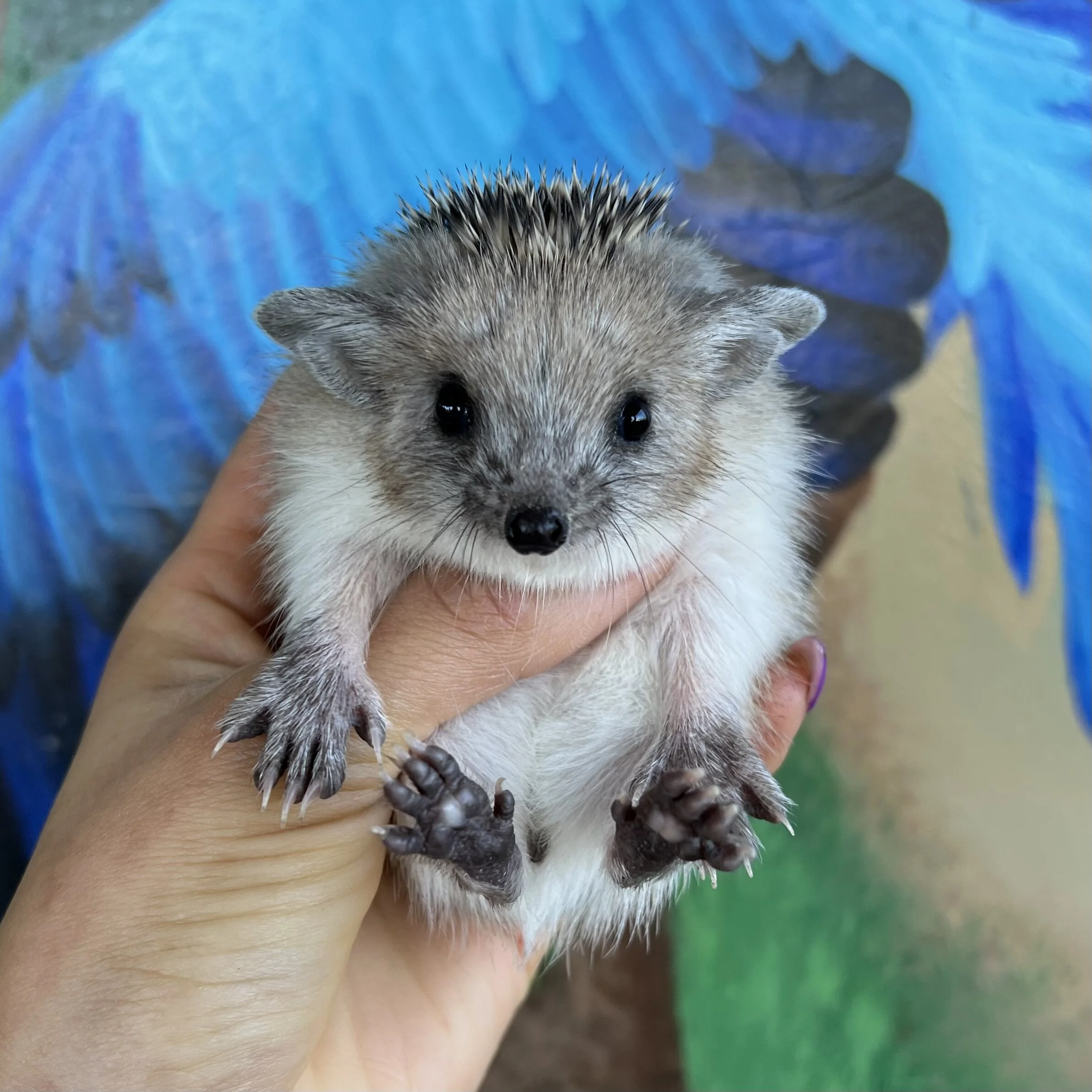 A097289F-42D6-4867-A4AB-64F6B7DE0162