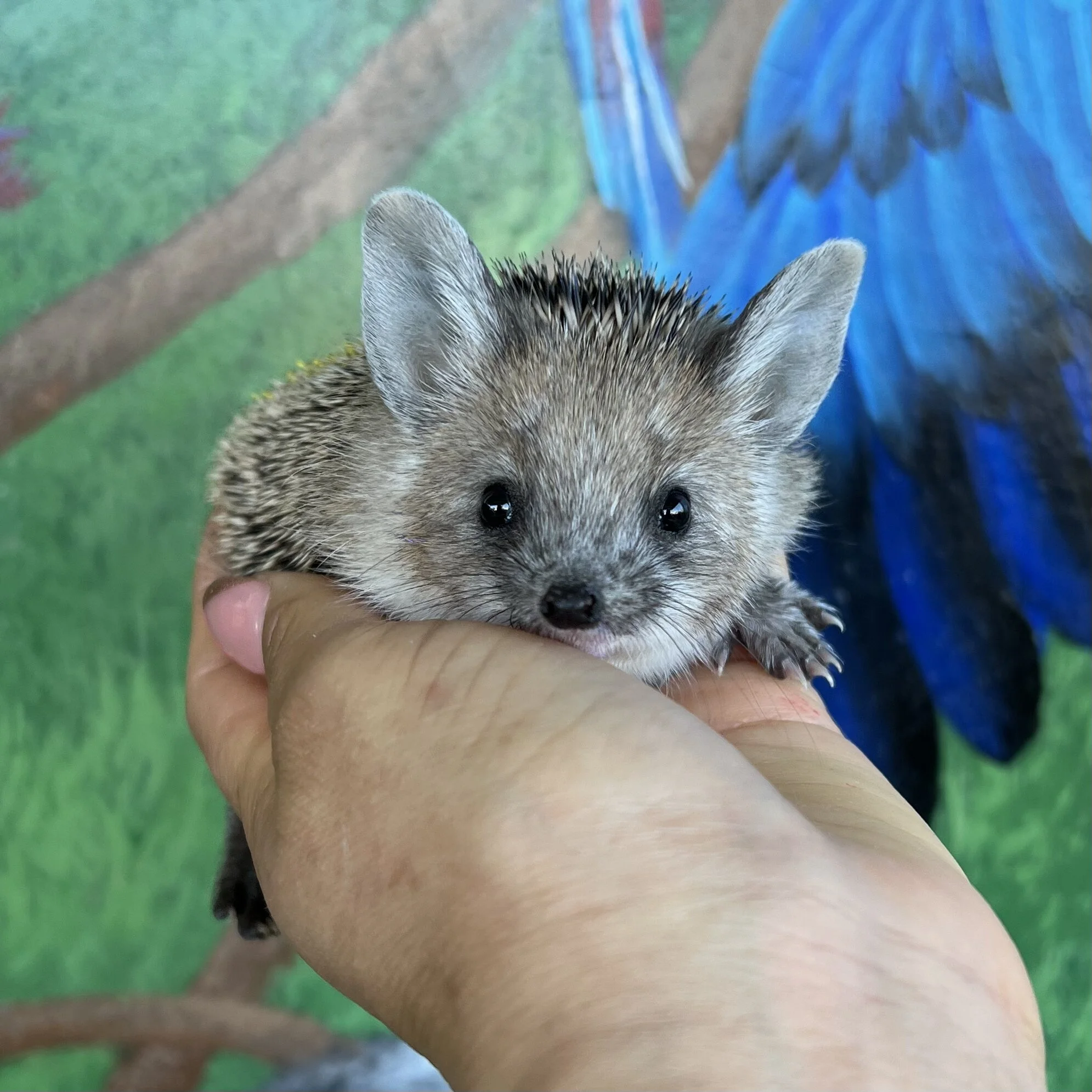 92767209-F72C-4D3C-BD90-164EC4B484D9