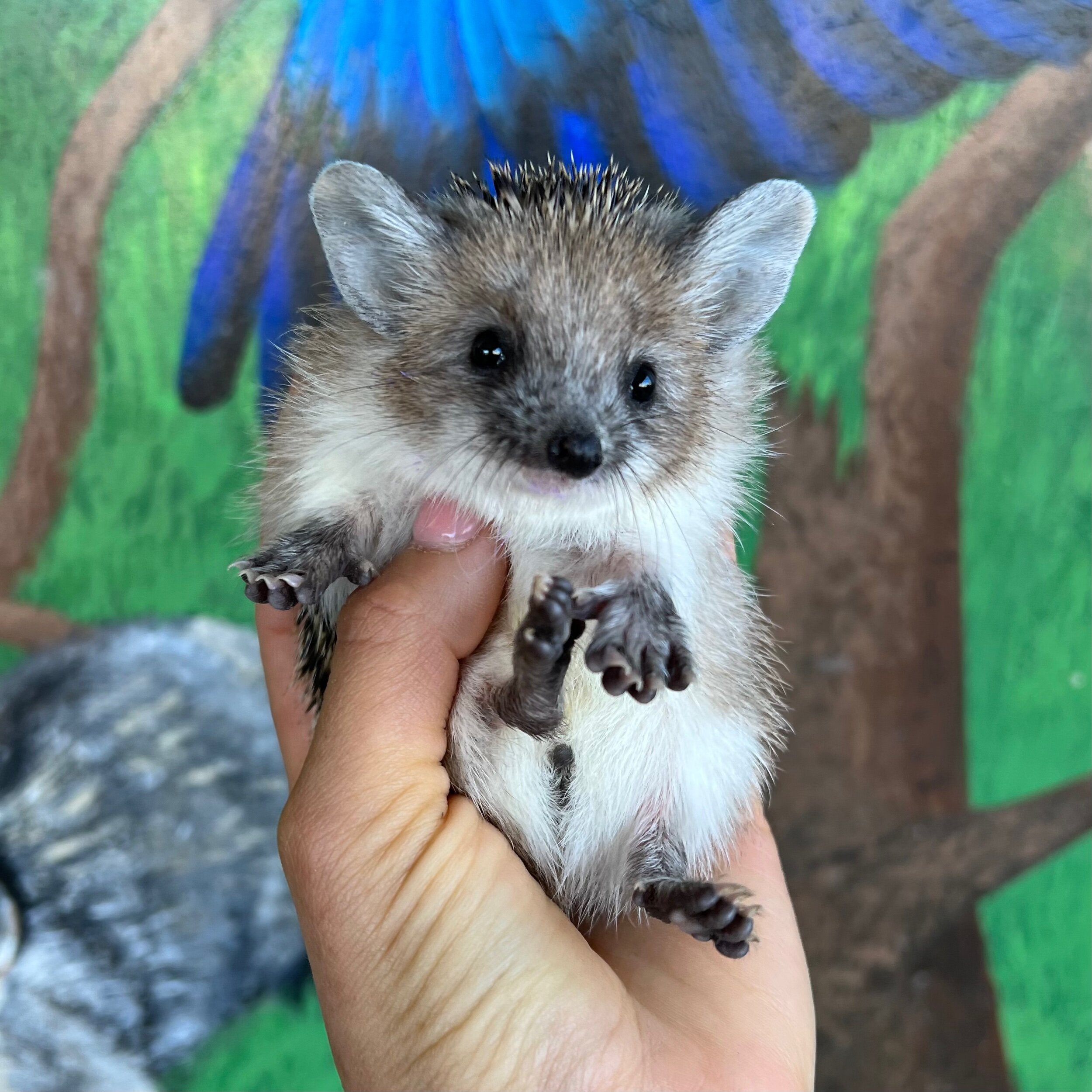 9FCC95B4-6CBE-4B46-A488-F518C87F11A7