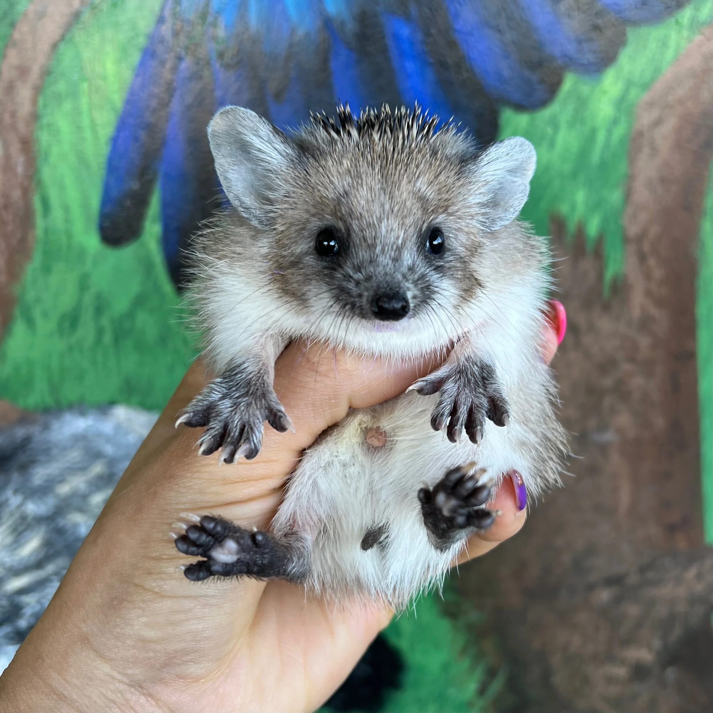 F6DFB49C-D8FA-409A-AE1A-1433A2F7F3C3