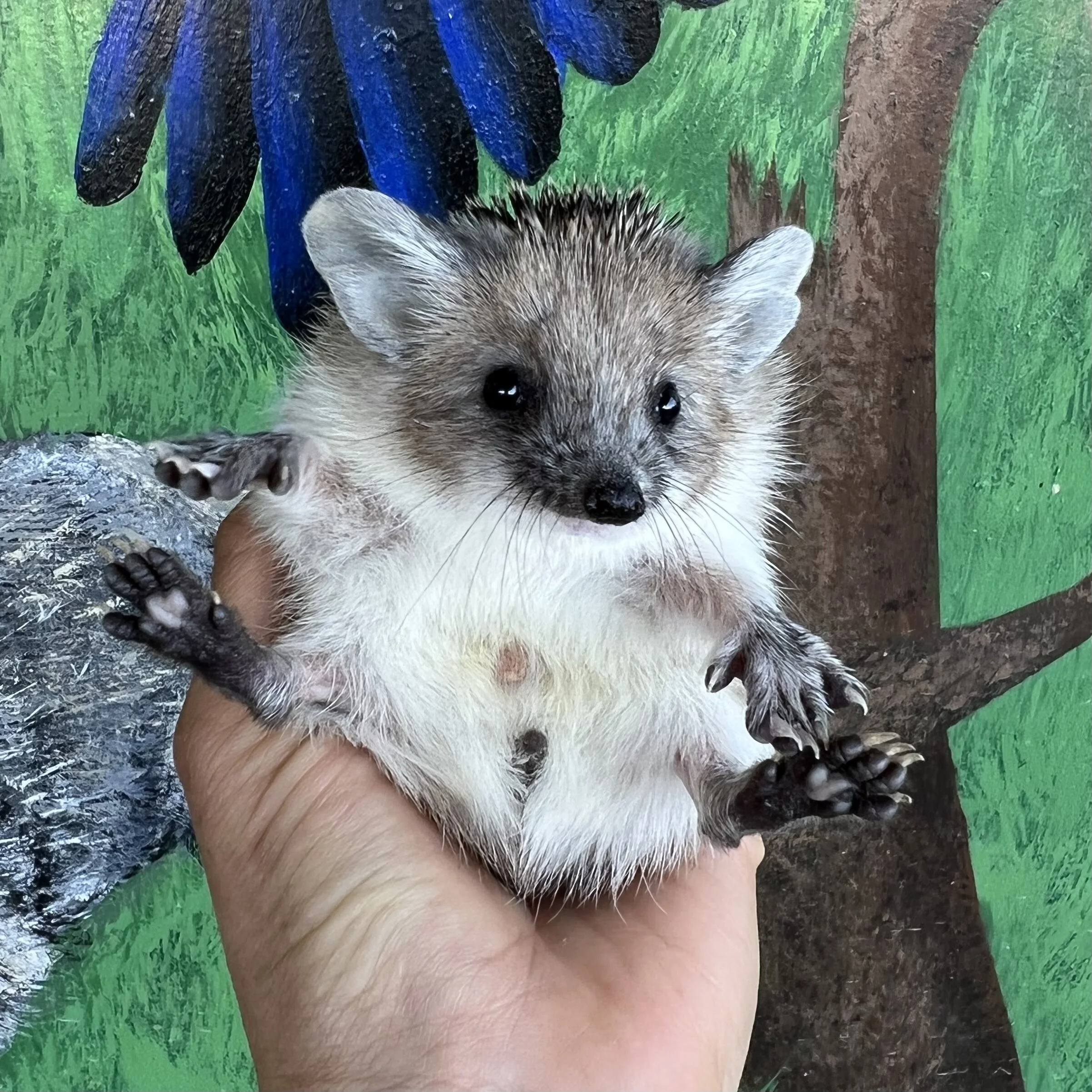 9D03EFCE-6636-41F2-808E-5E6B3BF002DB