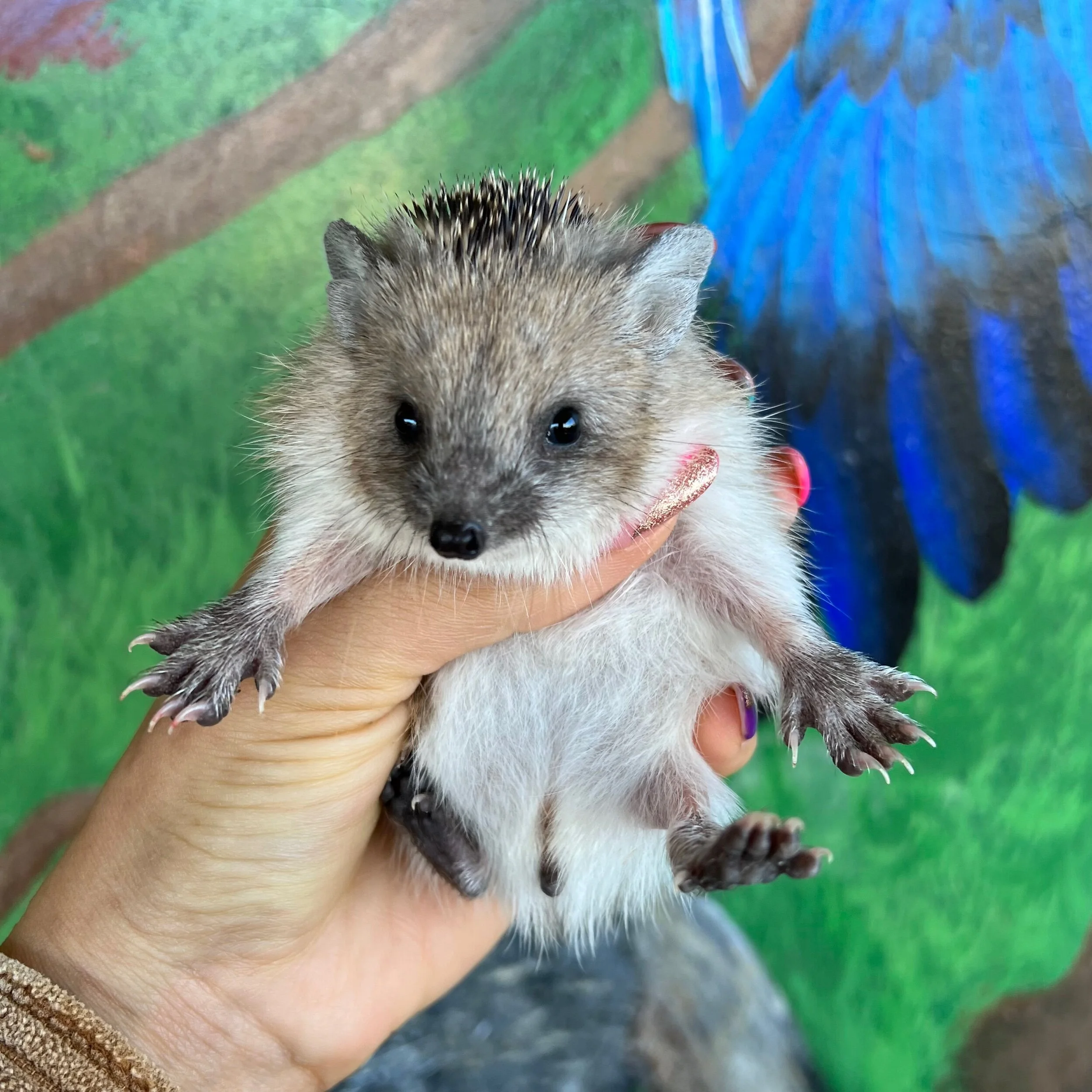 DEE8FF30-0E58-47E1-94EC-5EB123C43184