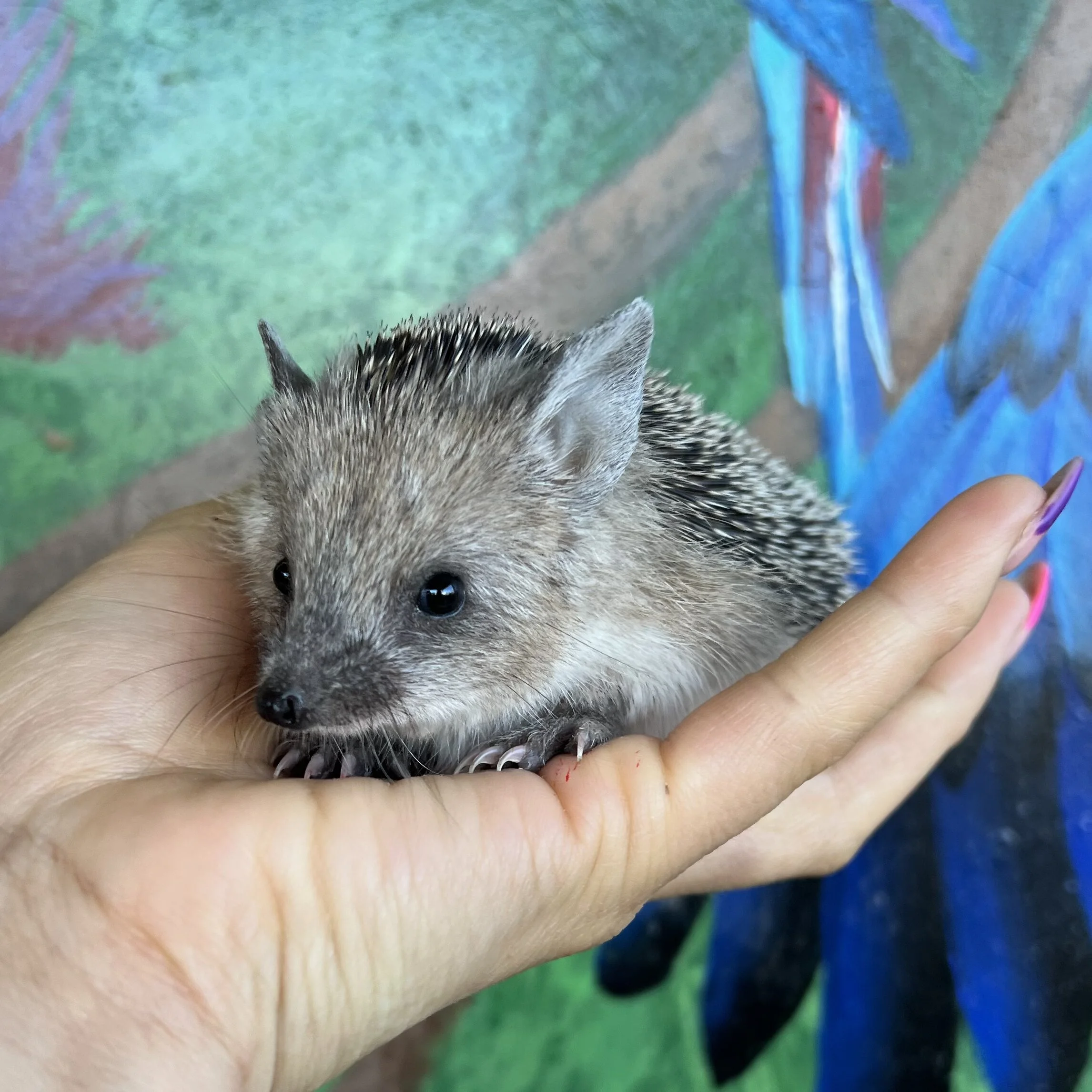 3882264A-65F9-4D18-BB7E-201BC8104BF2