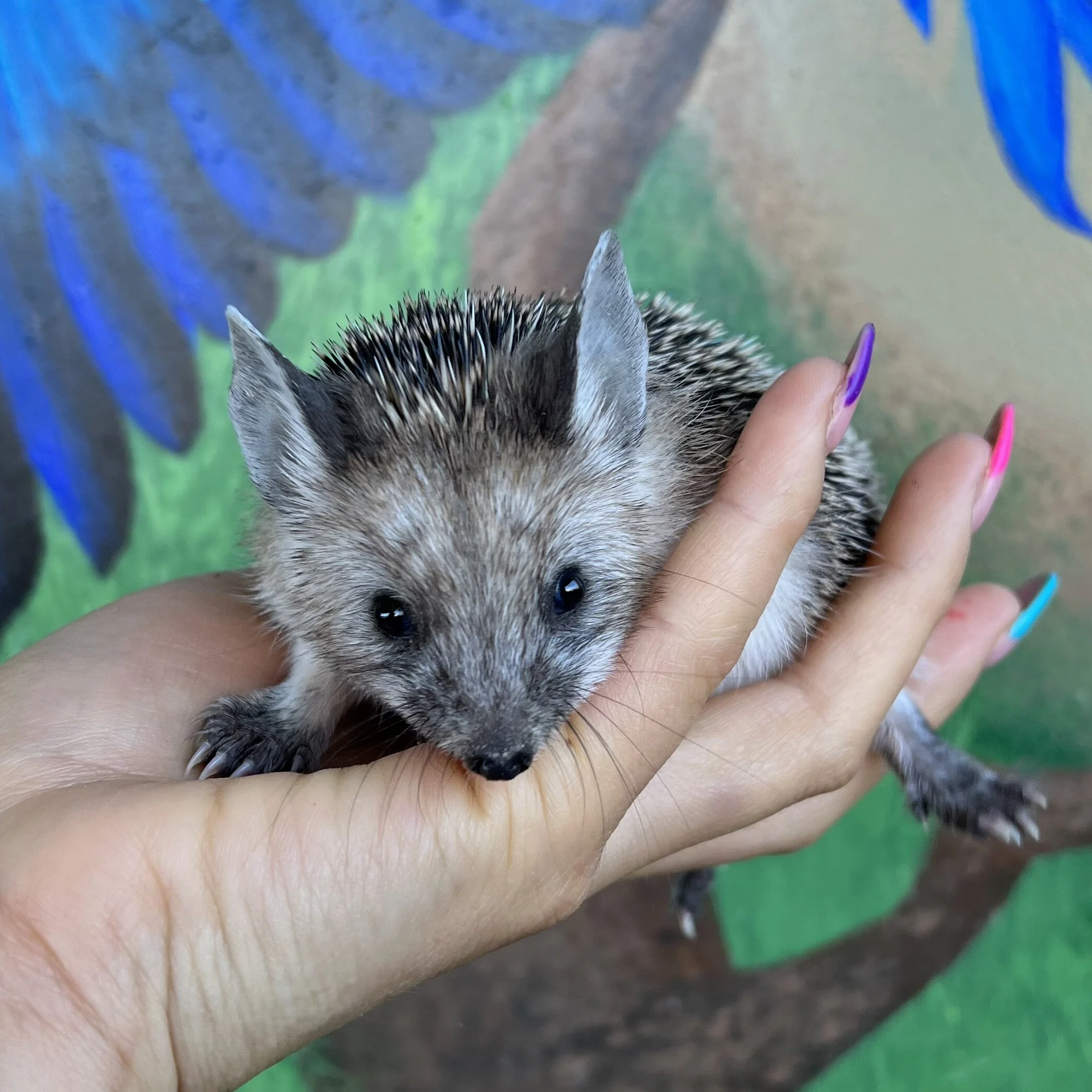 557AAD8D-ECE4-447F-87B9-D918DFD3B402