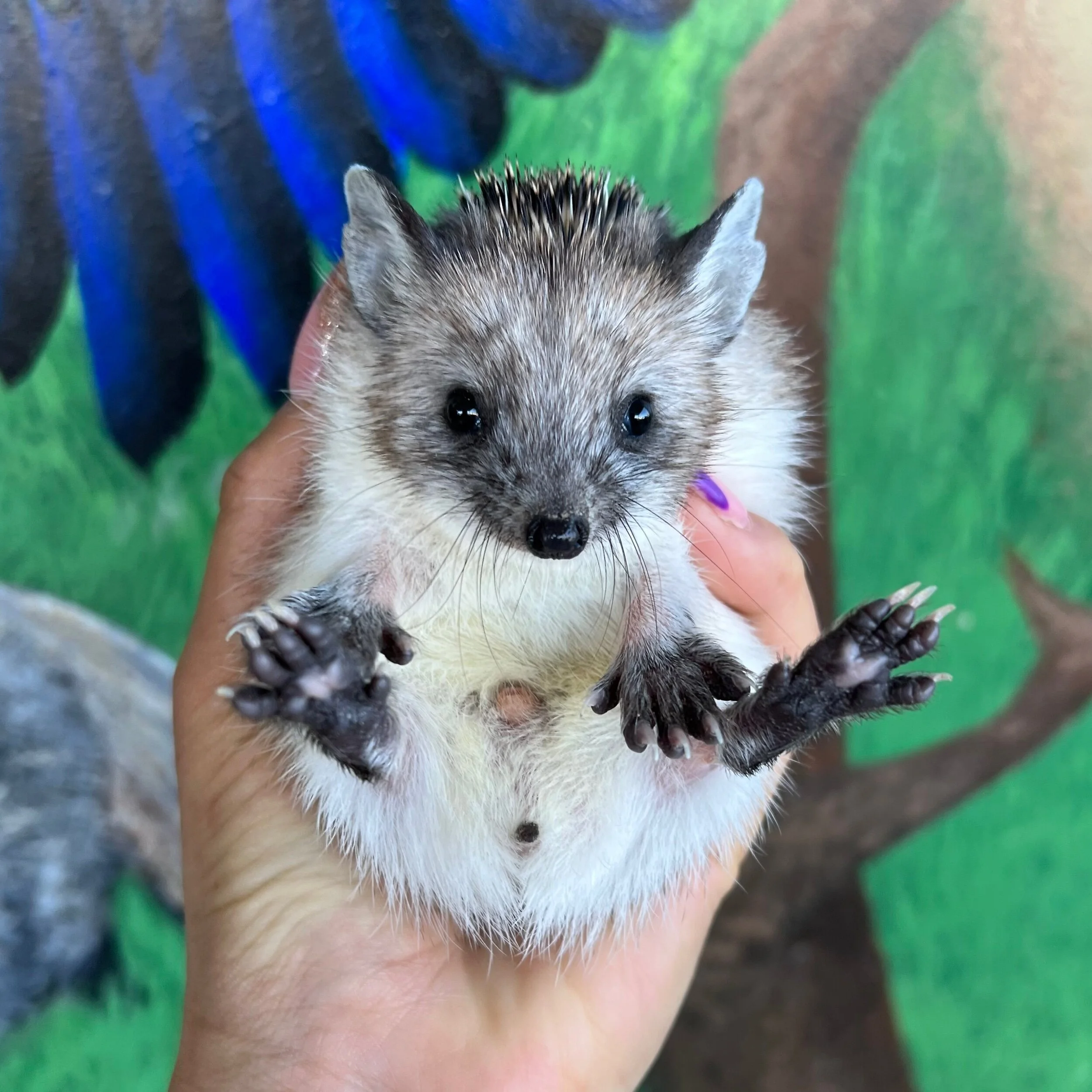 700C1E56-A876-4CBC-8B8C-4FBC01020EEF