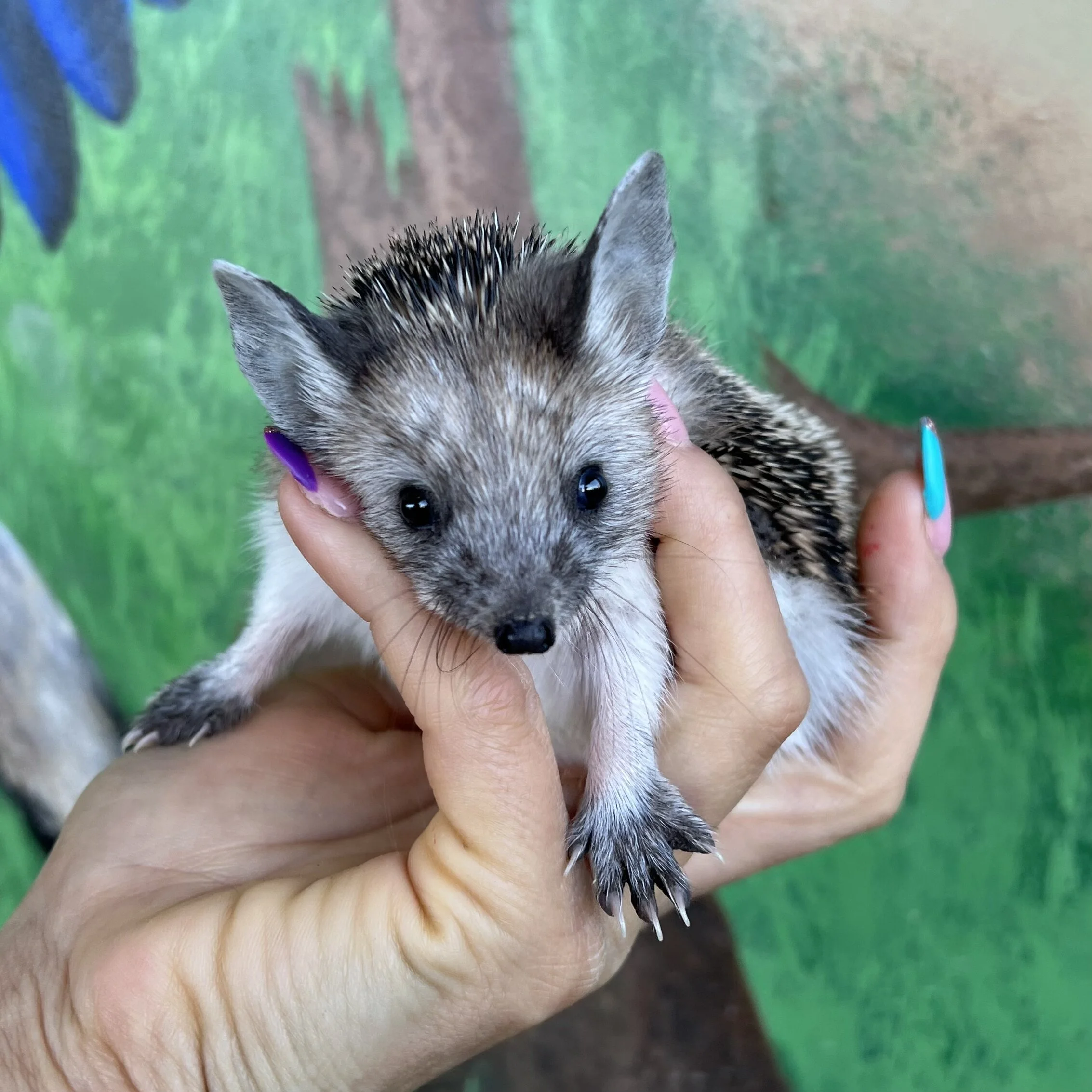 2A19C485-2B03-4894-914B-127565065BAB