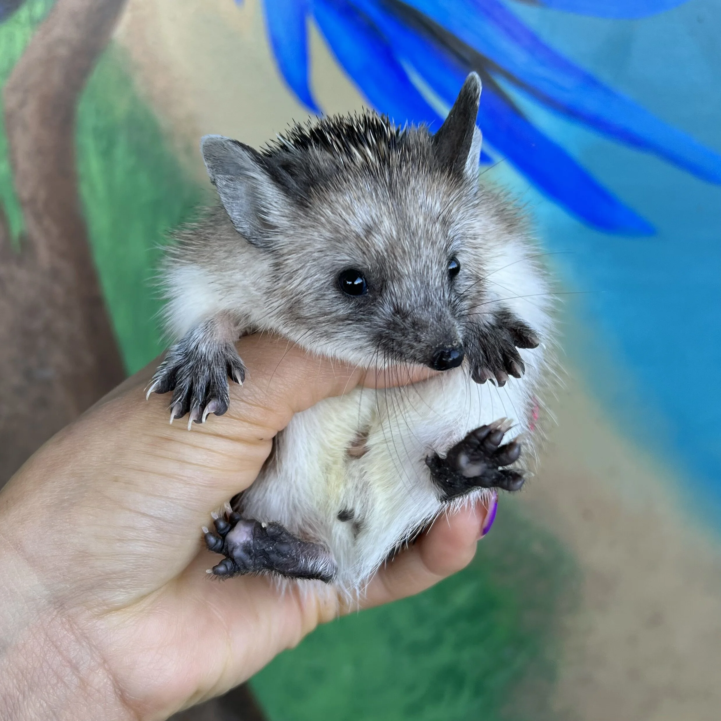 05B15B05-F13D-49D6-BDCC-F4E36C986885