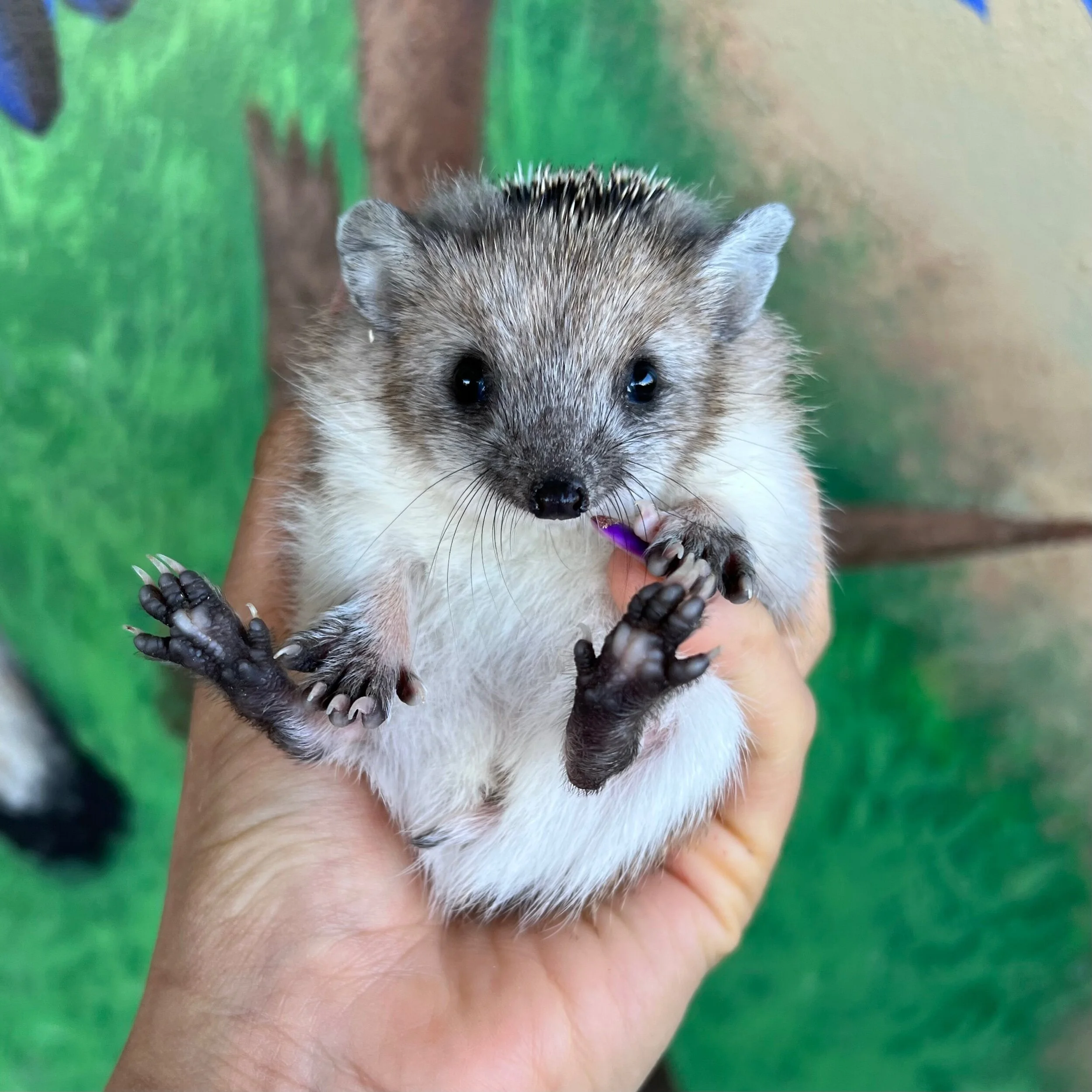 762EFCBB-F55C-4850-A944-EDADB8803B3C