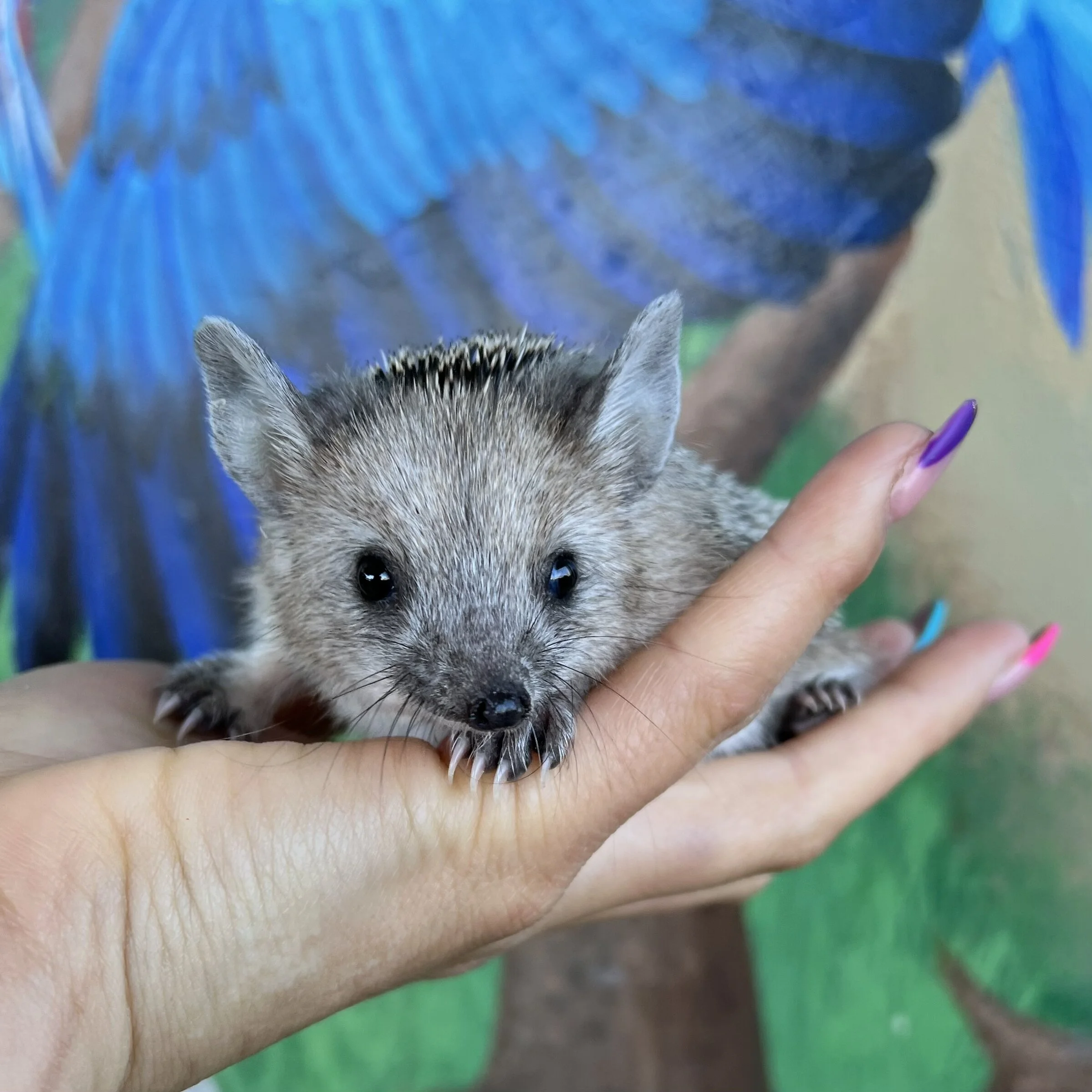 D67D4779-399C-4FF9-88DF-7FBC6F63AEF4