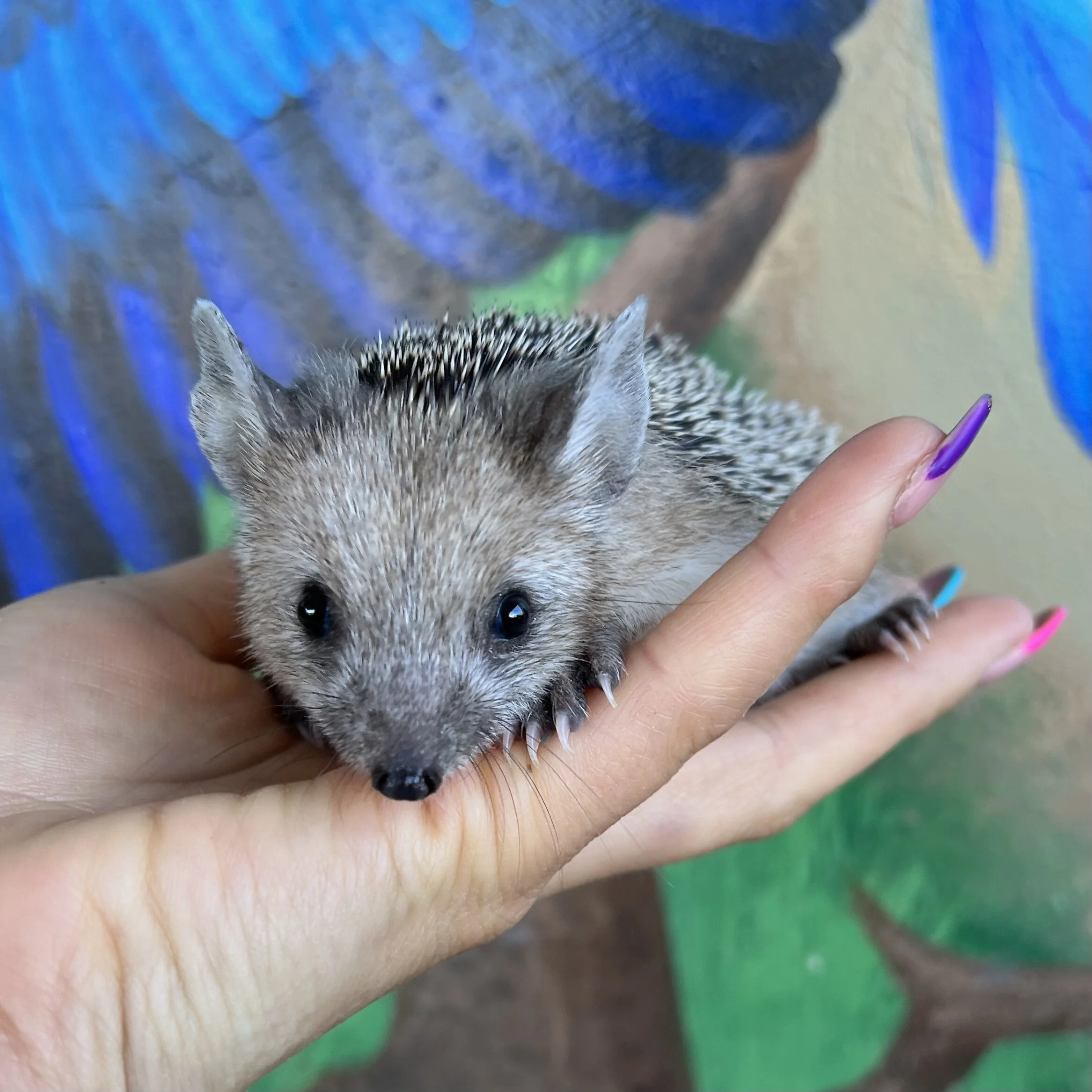 FAAF2002-5453-4C04-882D-30995FF9EAF9