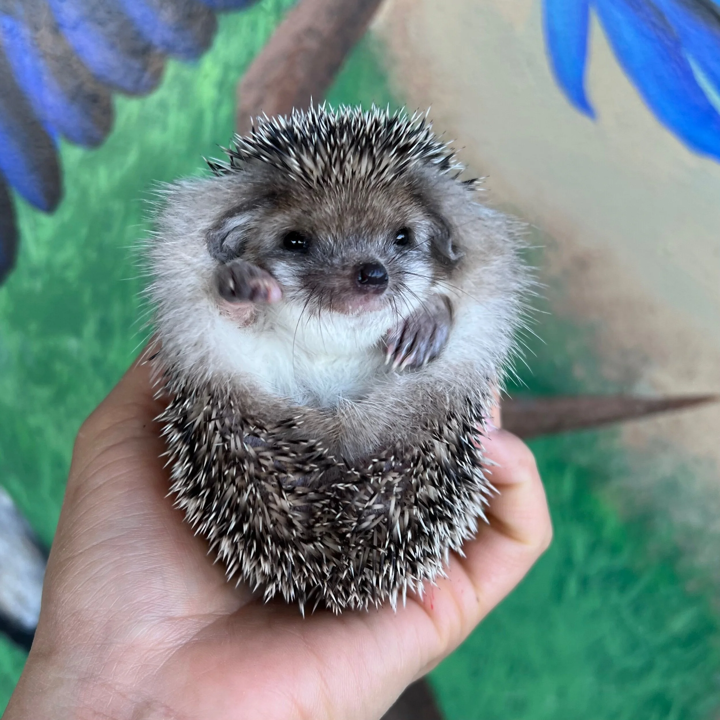 0D462C68-A4BF-4C95-A342-F38CEE1B5A81