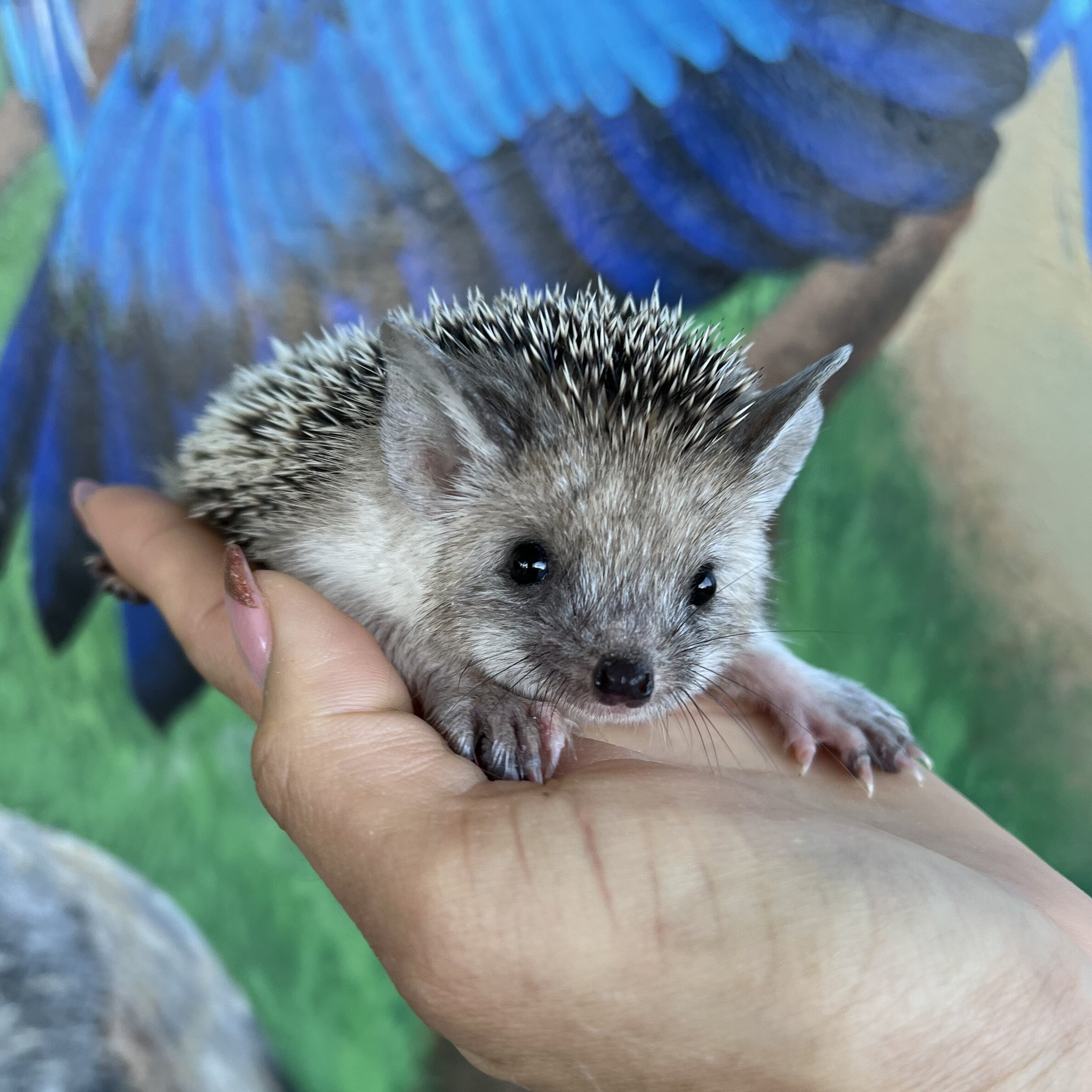 22C9BA2F-07C1-4115-A08C-A5E6EA9DE454