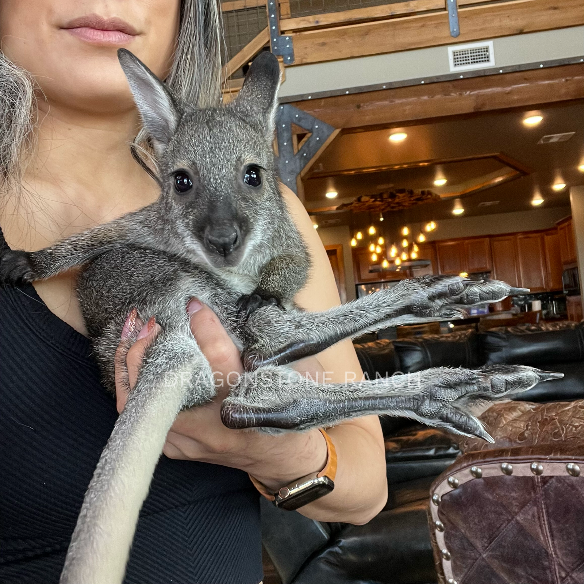 707BFC5F-A0E3-4E6F-934B-FD15B015ED51