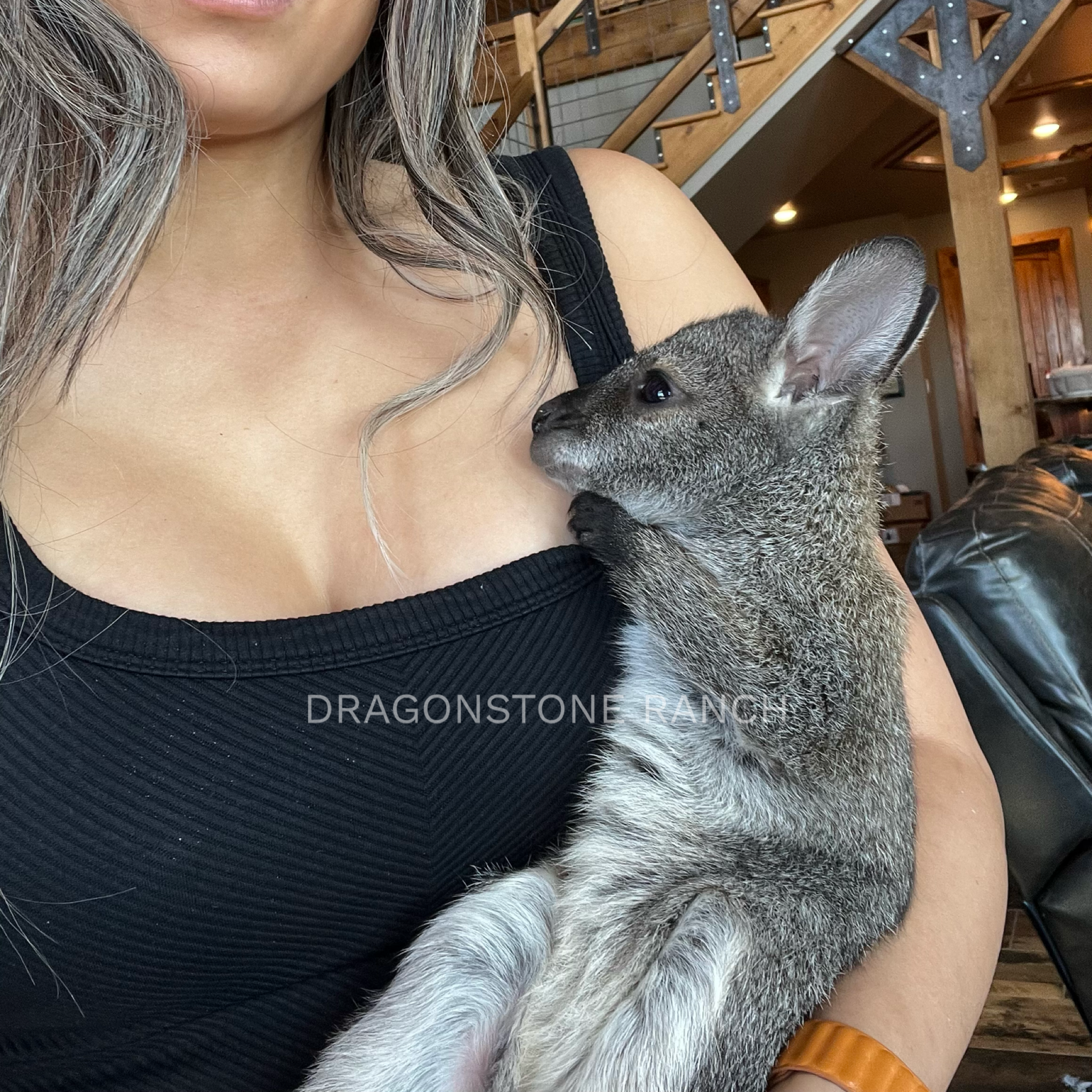 CB99F479-30B8-4108-9384-58E04DBF0035