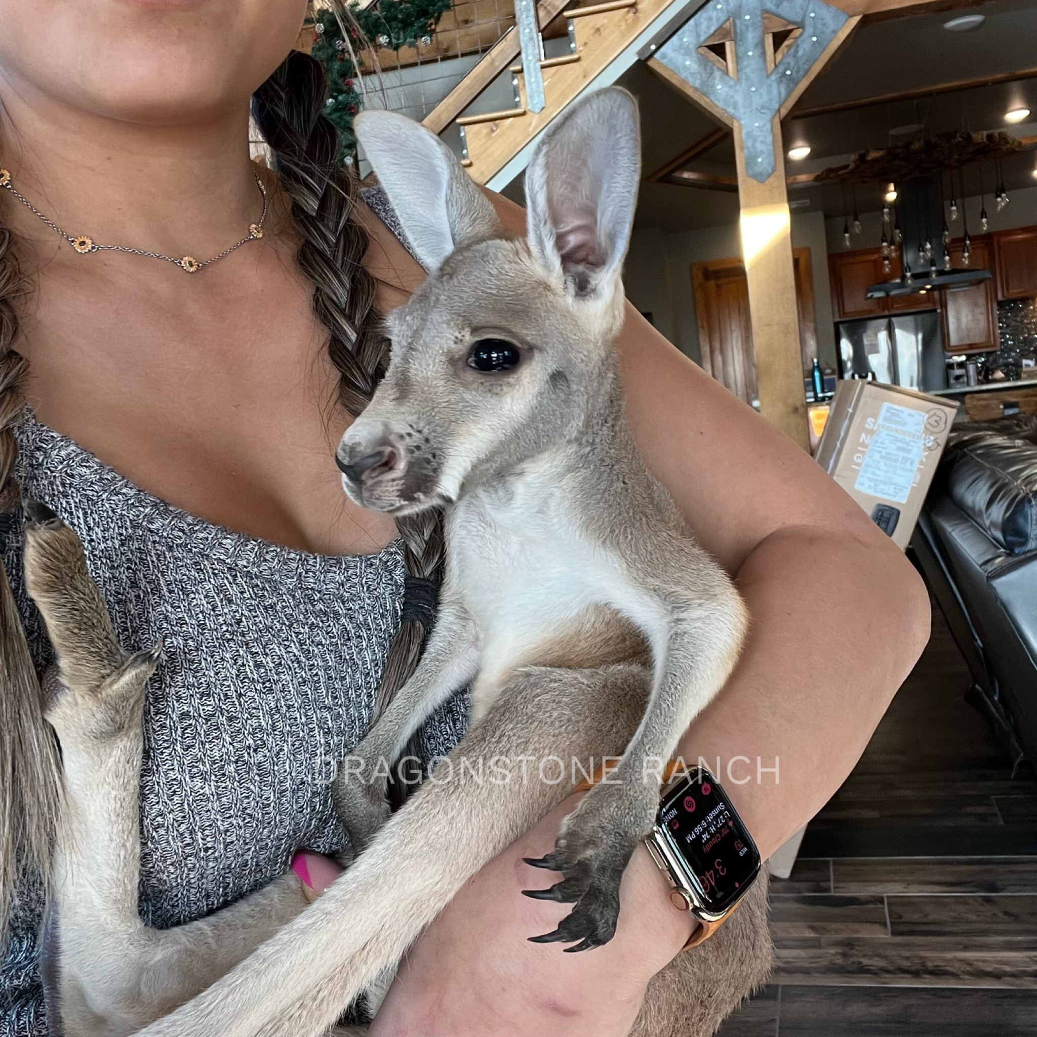 1EE96711-08DD-44D4-9F22-388864CD1C3F