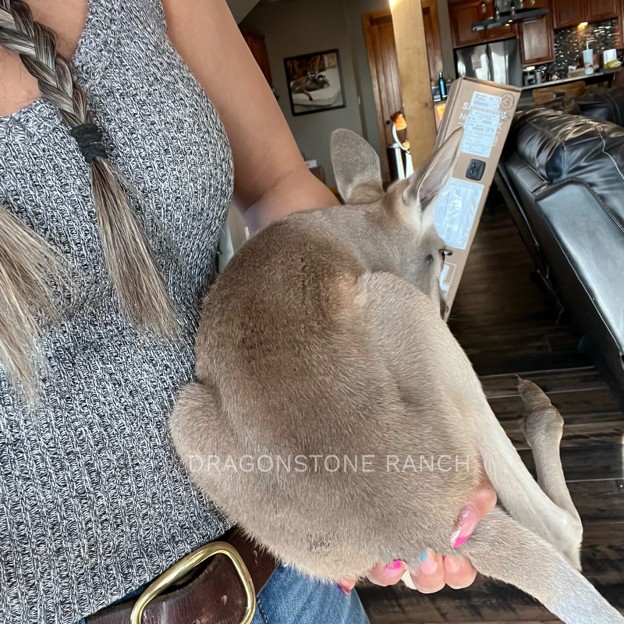 D5A65BCC-479D-4D0F-9C63-554B3690D27A