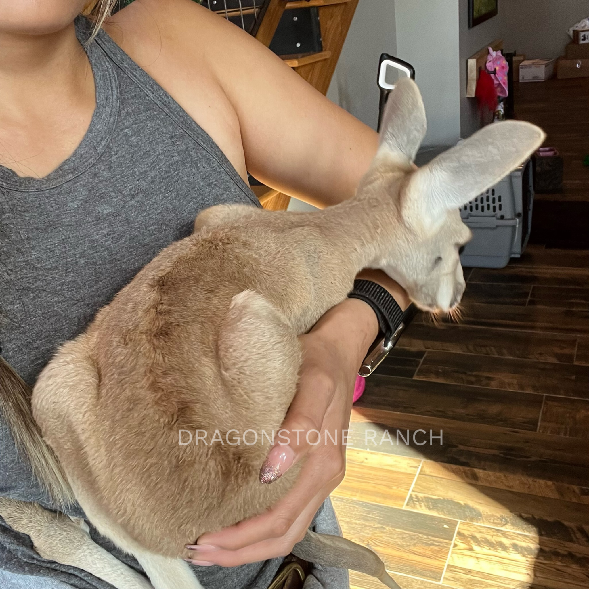 03E540FC-E05A-48CE-B2DB-41DEF054FECF