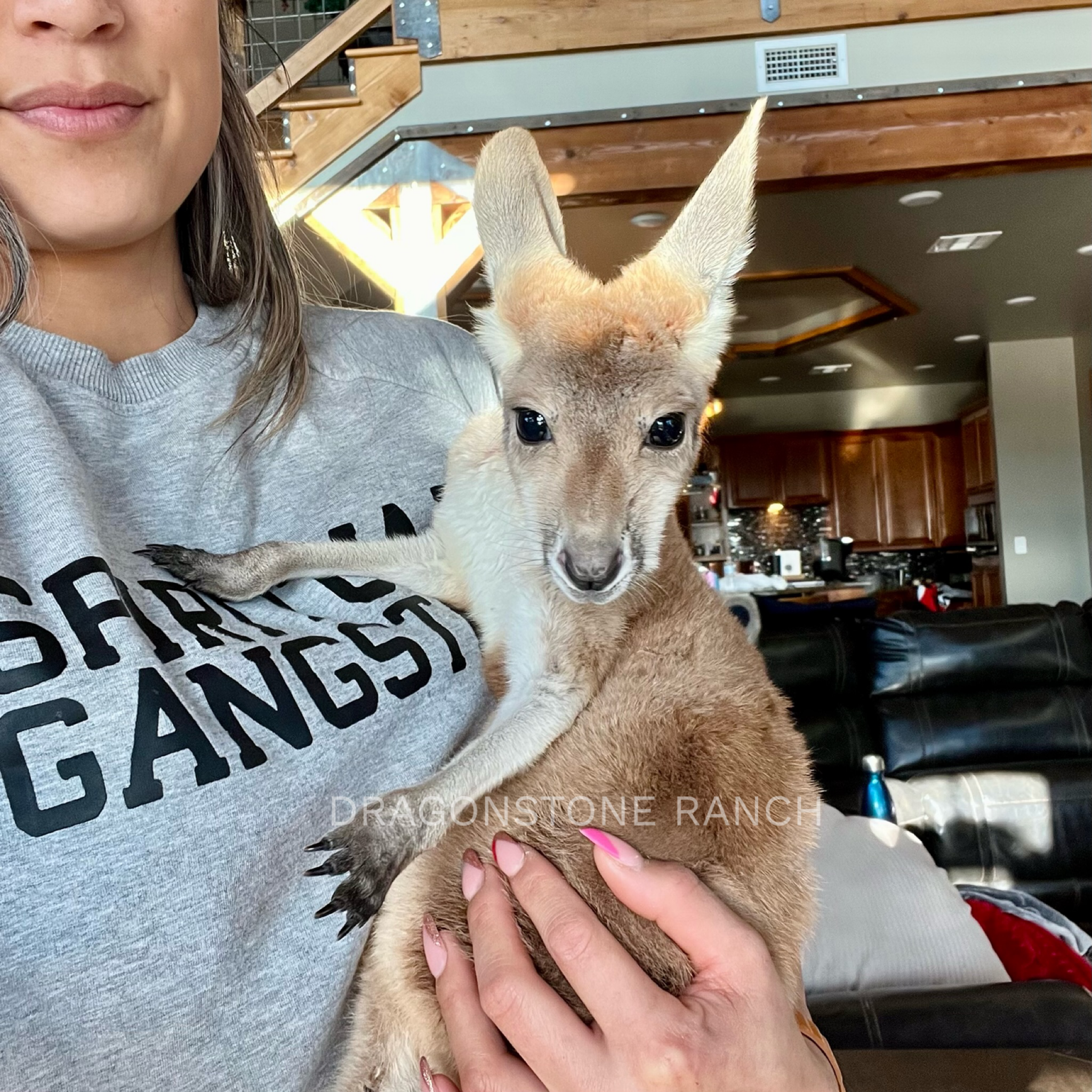 4438BC4A-3143-45C7-A6F8-5DA45FACFD57