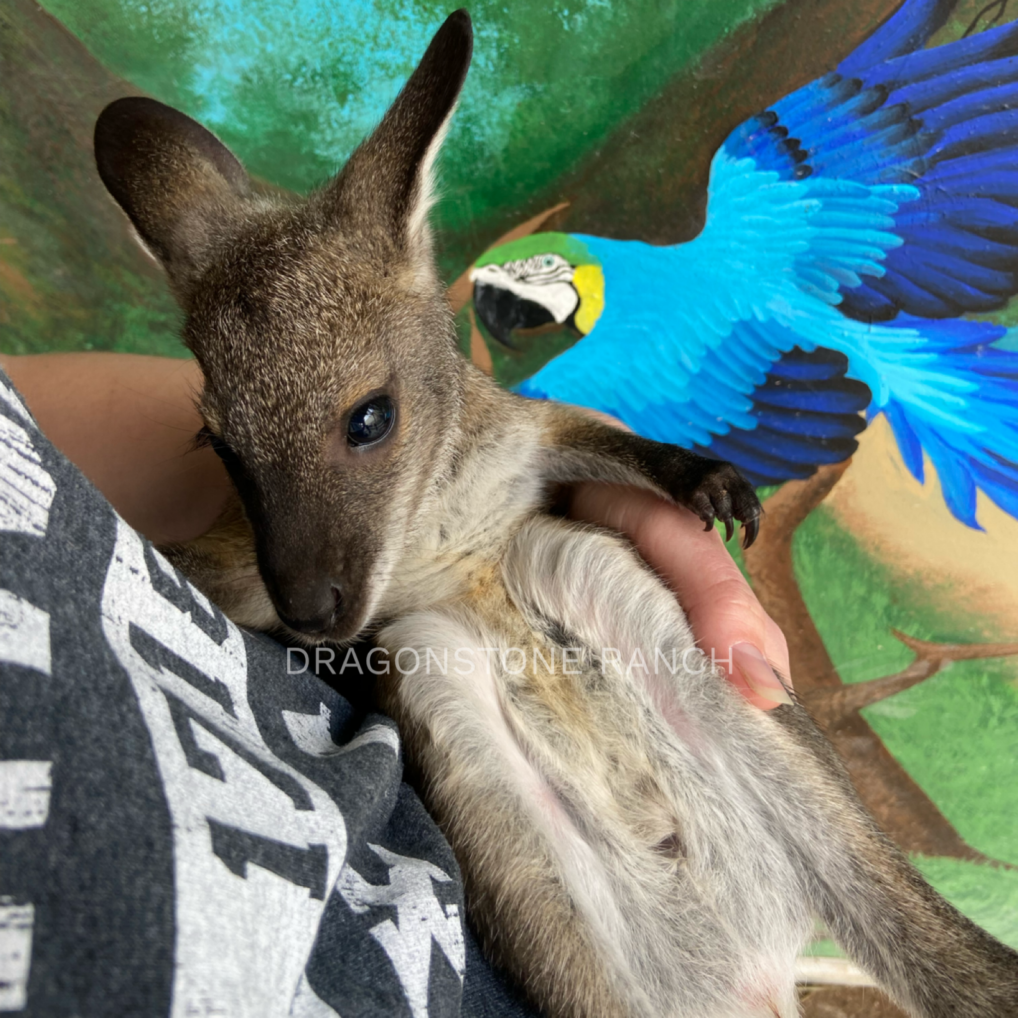 A66EE6C0-9103-480F-AECA-E6C9ED5E16BC