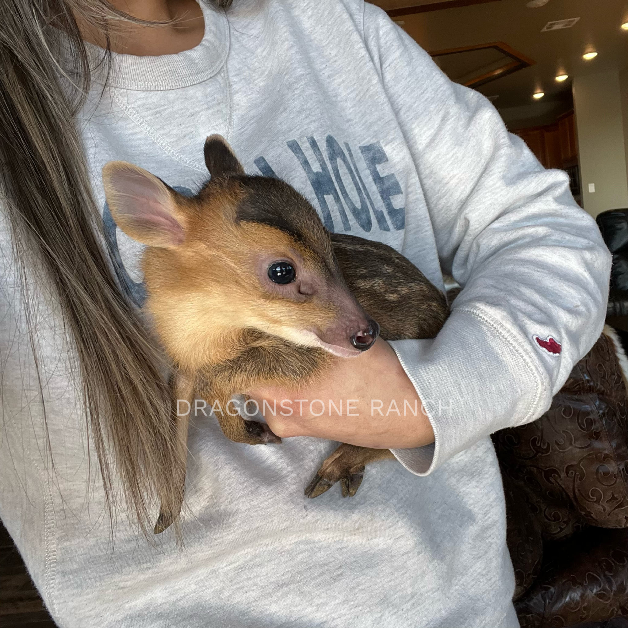 29A5A9C9-B0A1-4DDB-B1CF-0F040046623D